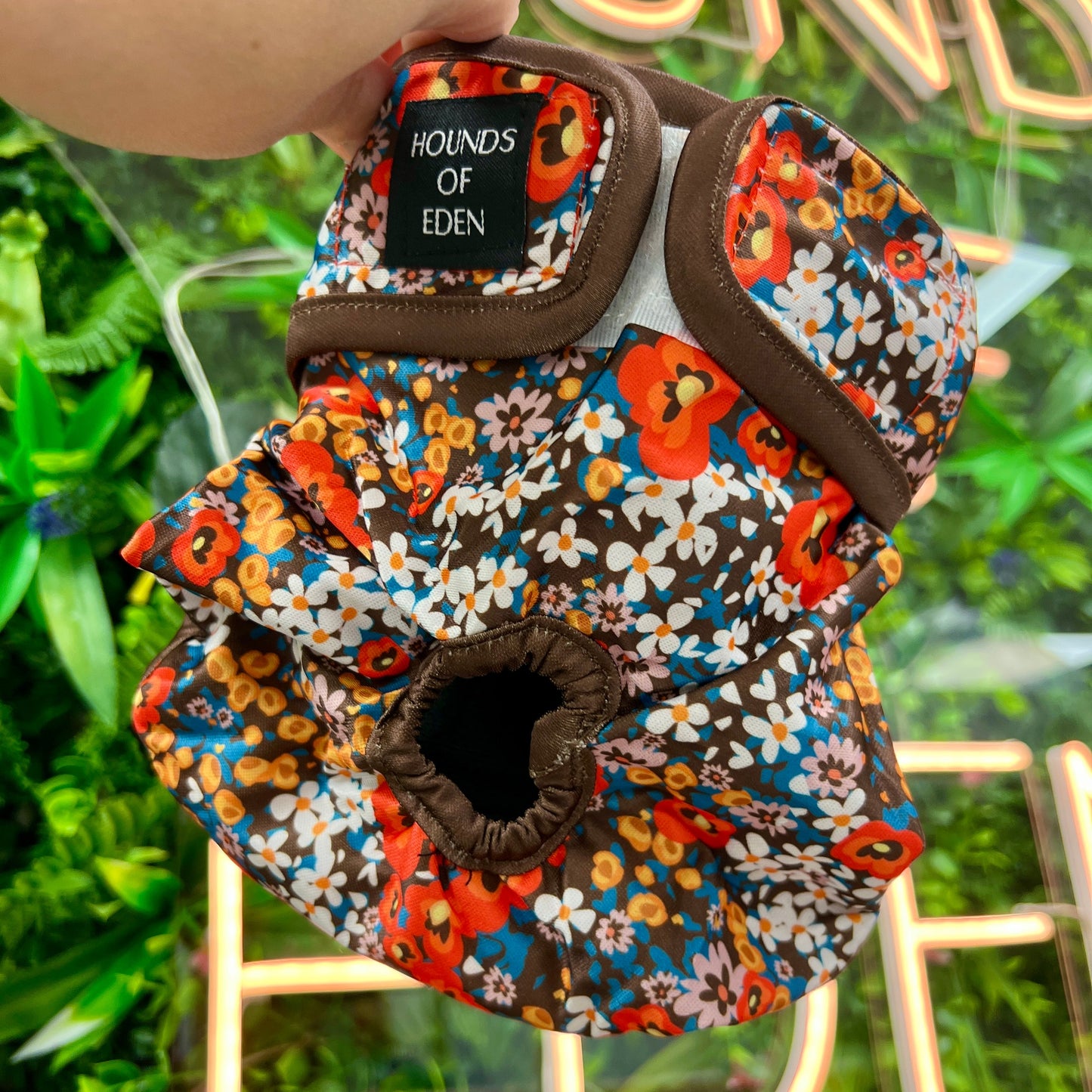 Retro Bloom - Dog Season Hygiene Panties - The Bark Market