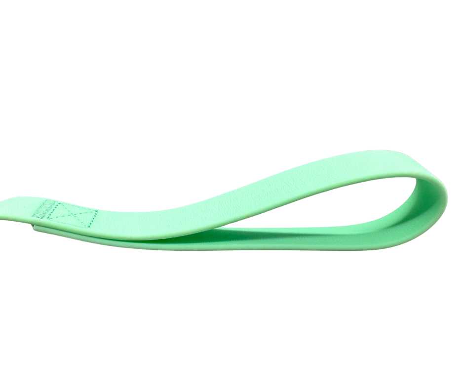 PVC BTactical™ Frog Clip Lead | Pastel Green - The Bark Market