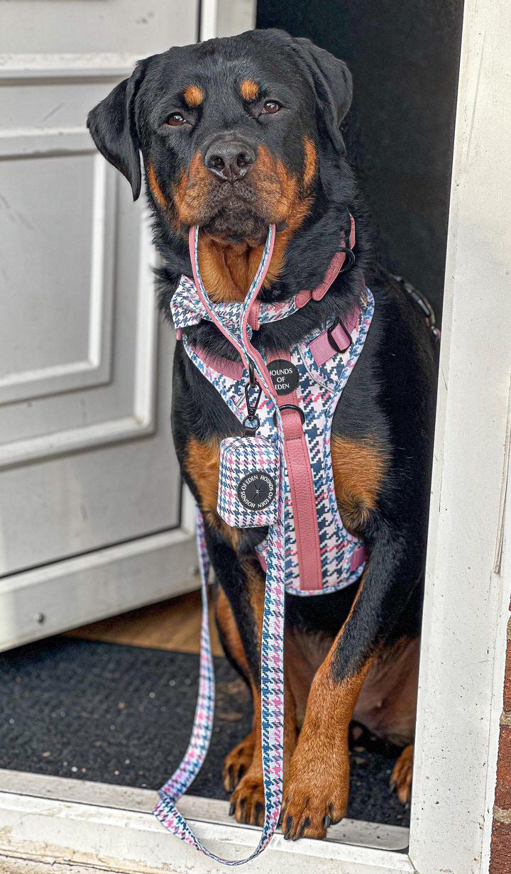 Pink Houndstooth Dog Supaw Strong Lite™ Harness (XS-XL) - The Bark Market