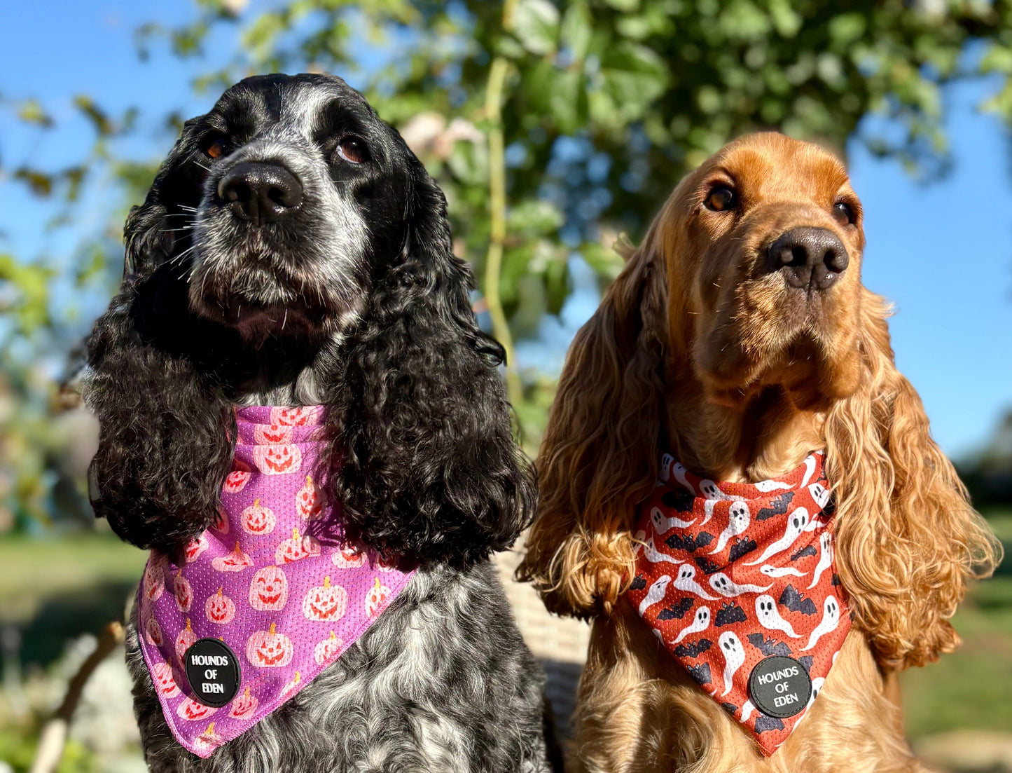 Orange Bats + Ghosts Halloween Dog Bandana 👻 - The Bark Market