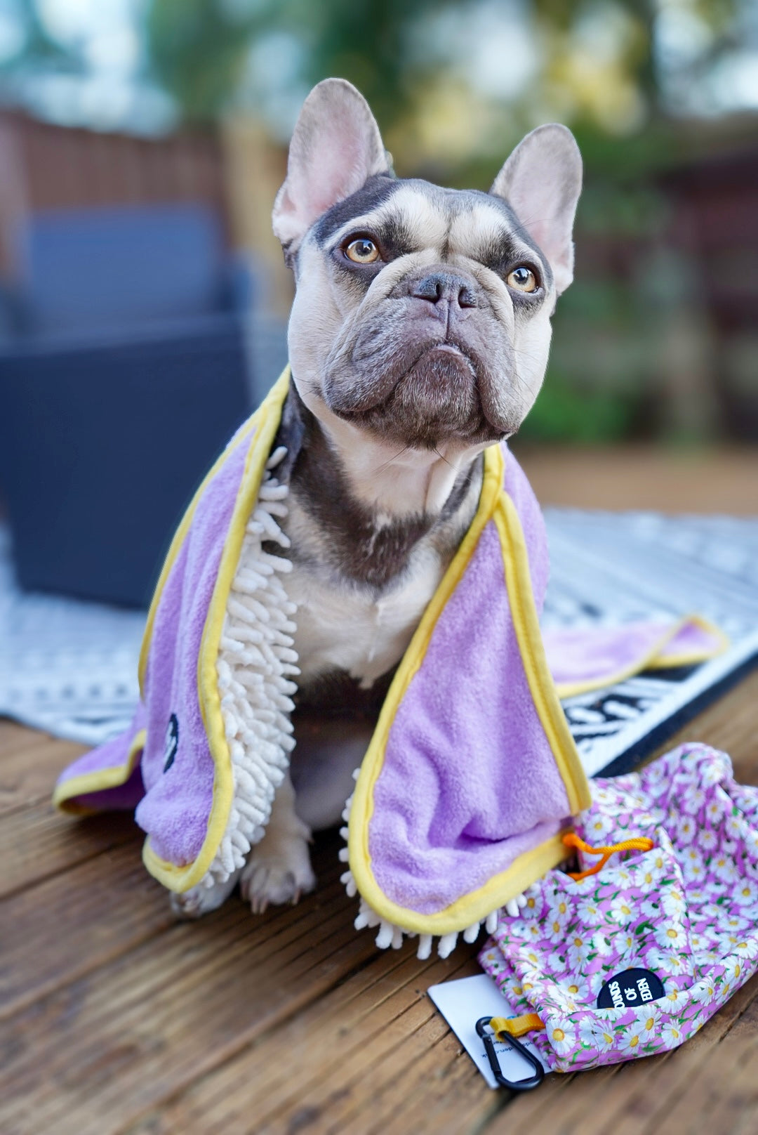 Daisy Dreams - Dog Towel + Carry Bag - The Bark Market