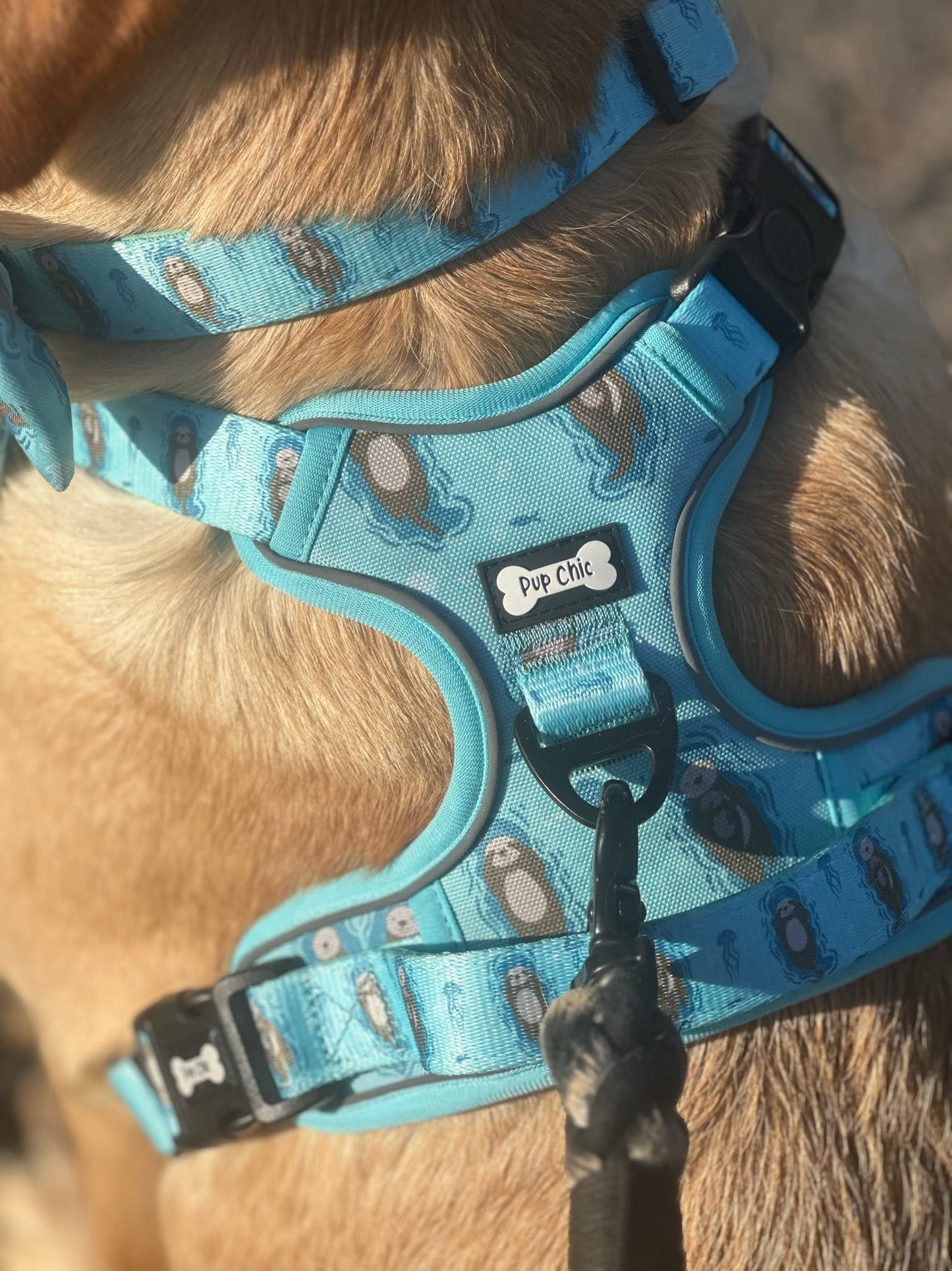 Otterly Lovely Tactical Dog Harness – No Pull & Fully Adjustable - The Bark Market