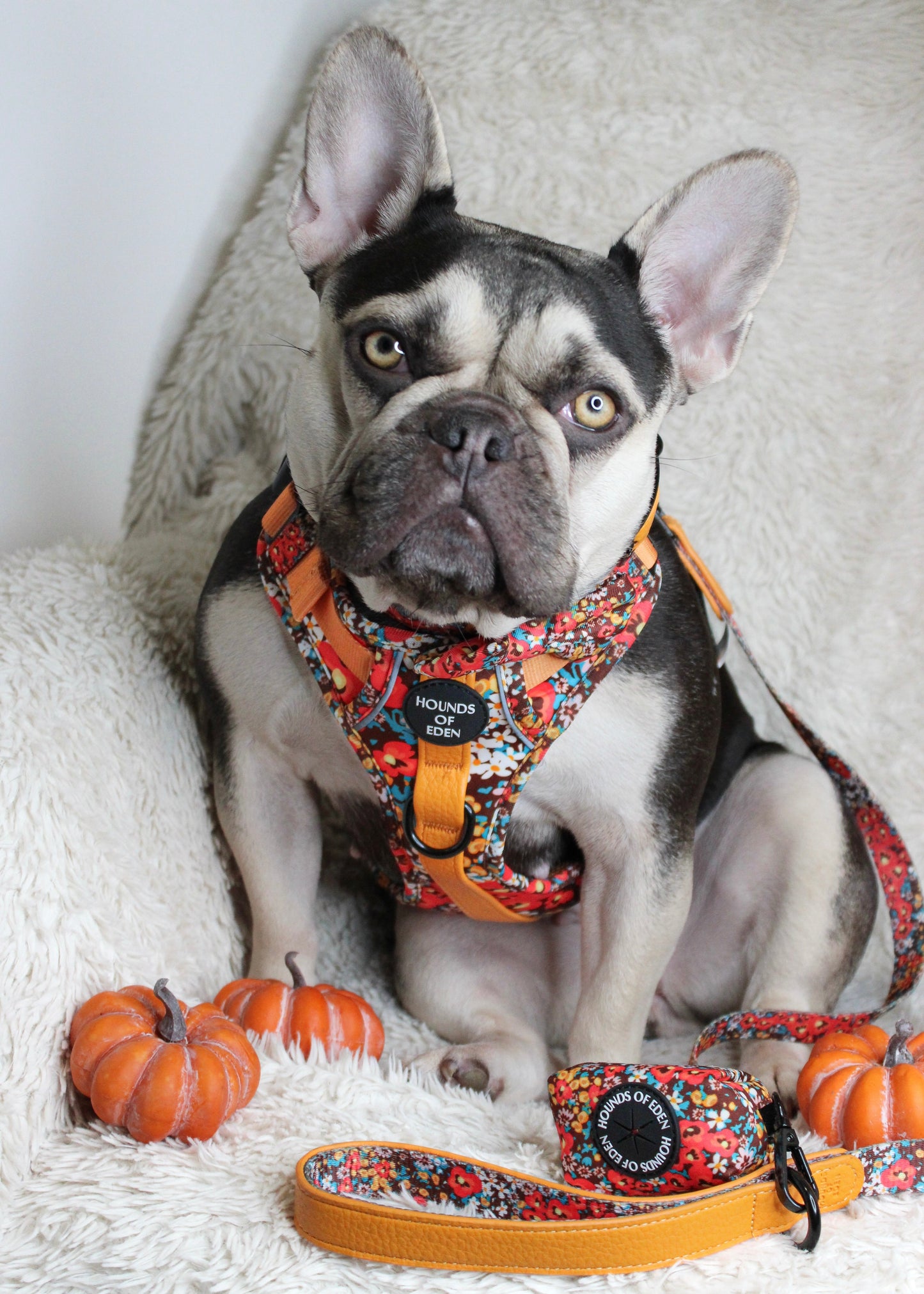 Retro Bloom Dog Supaw Strong Lite™ Harness (XS-XL) - The Bark Market