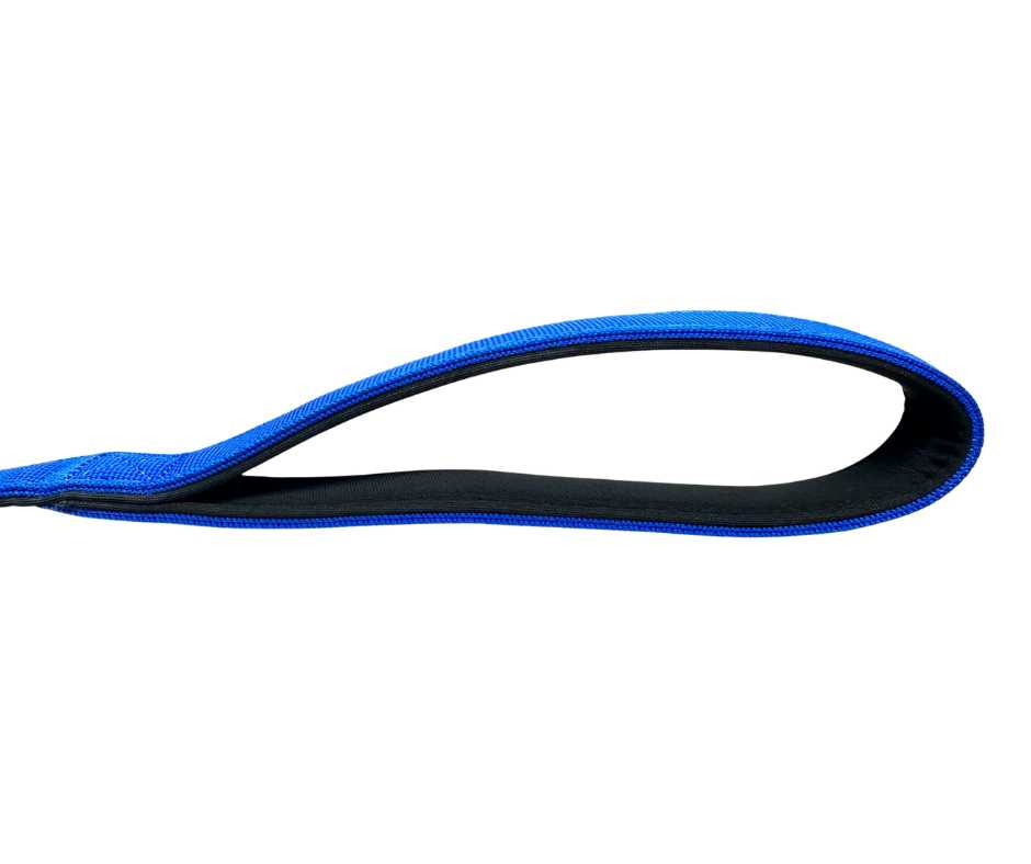 Nylon BTactical™ Frog Clip Lead | Royal Blue - The Bark Market