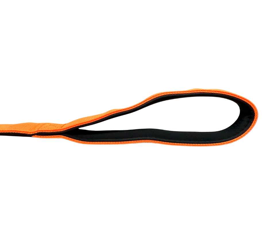 Nylon BTactical™ Carabiner Clip Lead | Citrus Orange - The Bark Market