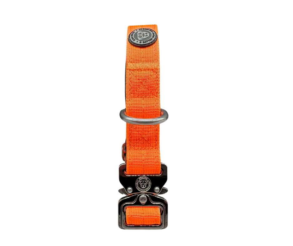 2.5cm Nylon BTactical™ Collar | Citrus Orange - The Bark Market