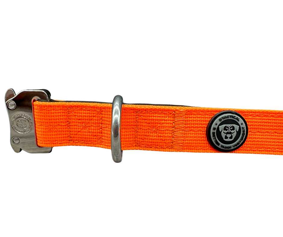 2.5cm Nylon BTactical™ Collar | Citrus Orange - The Bark Market