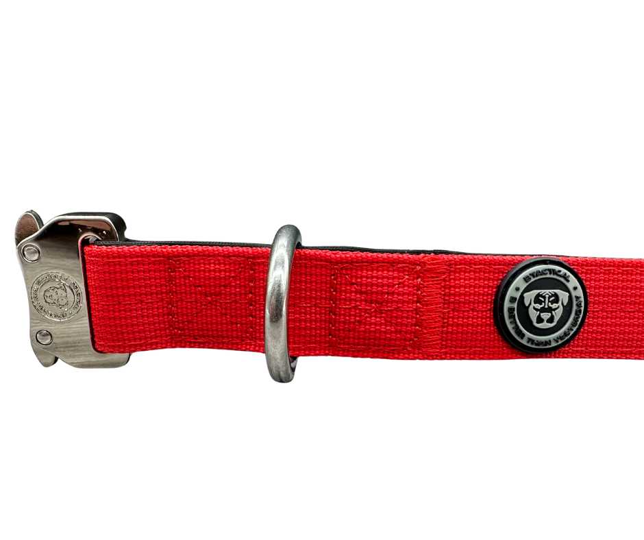 2.5cm Nylon BTactical™ Collar | Citrus Red - The Bark Market