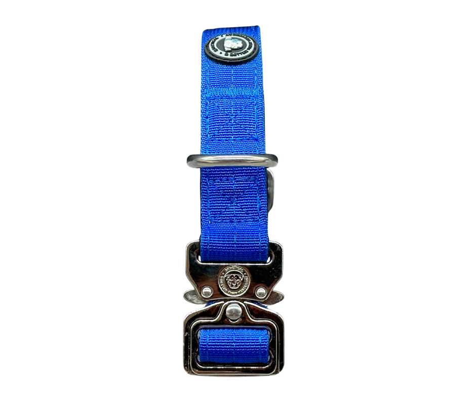 2.5cm Nylon BTactical™ Collar | Royal Blue - The Bark Market