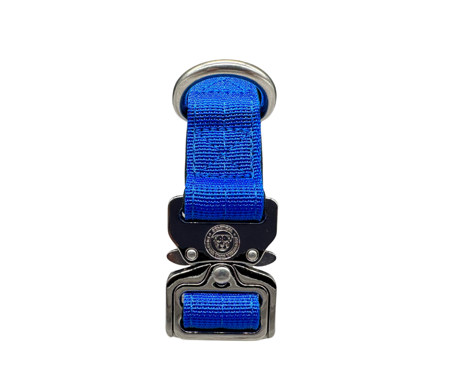 Puppy Nylon BTactical™ Collar | Royal Blue - The Bark Market