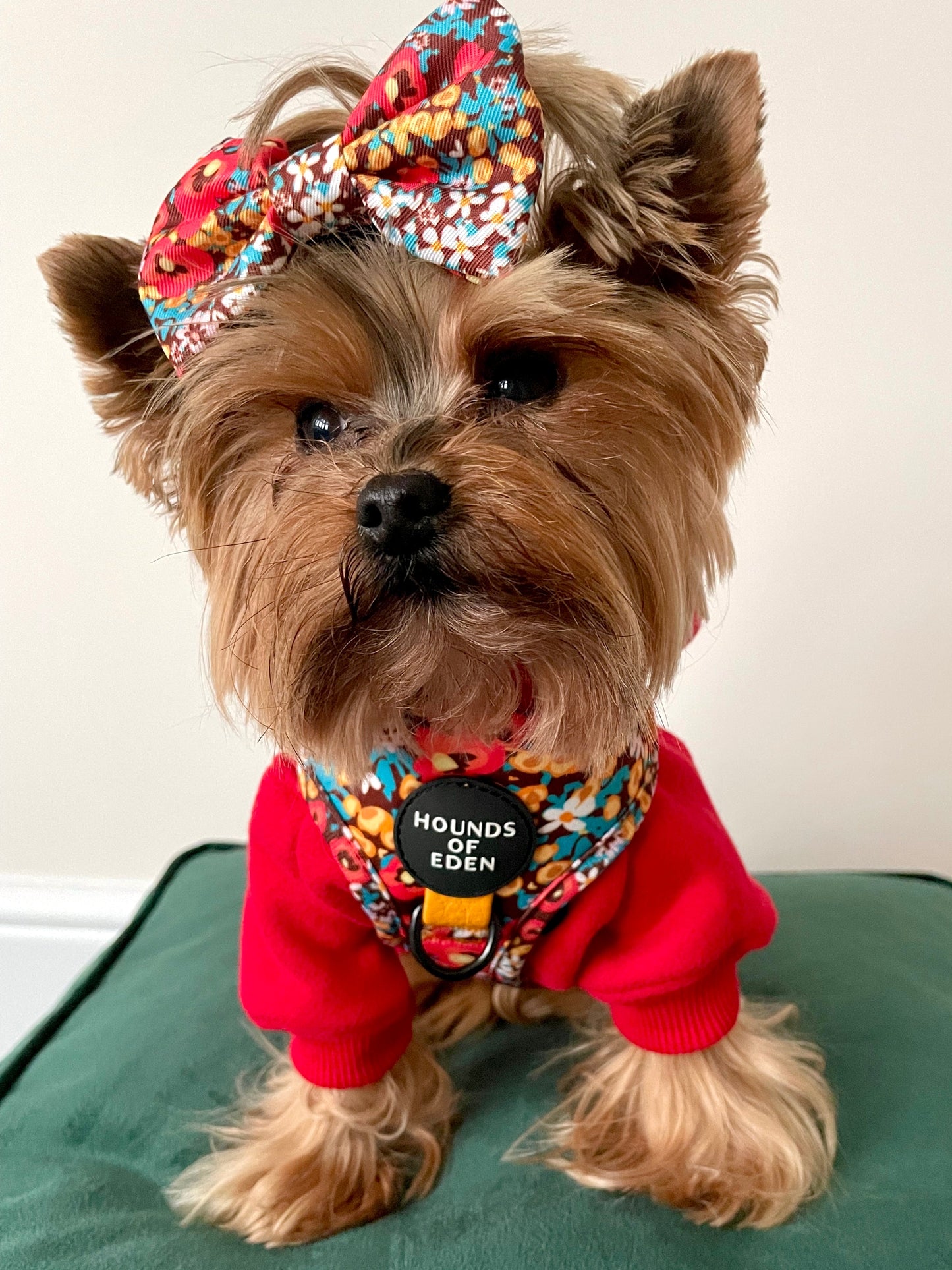Retro Bloom Dog Harness (XXS & XS) - The Bark Market
