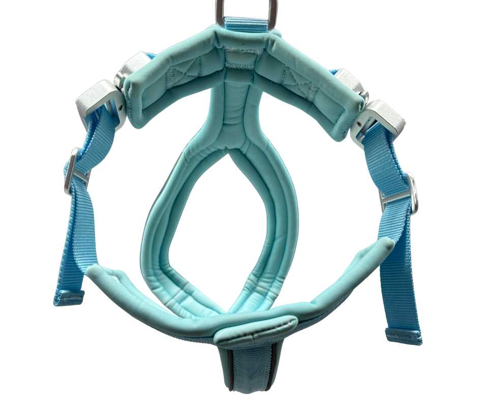 The 2.5cm BTactical™ Slip on Harness | Pastel Blue - The Bark Market