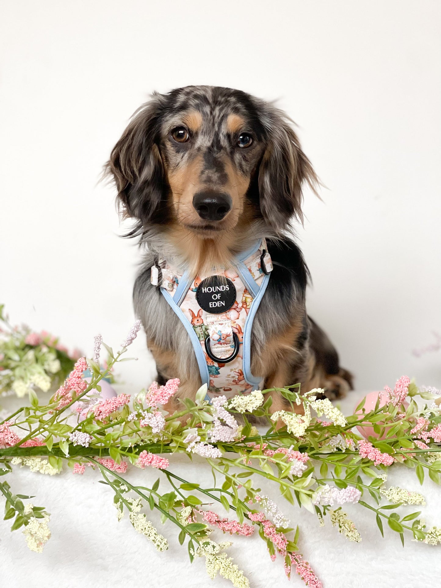 Bunny Tales - Blue, Dog Supaw Strong™ Lite Harness (XS-XL) - The Bark Market