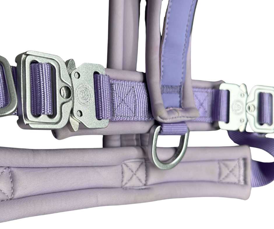 The 2.5cm BTactical™ Slip on Harness| Pastel Purple - The Bark Market