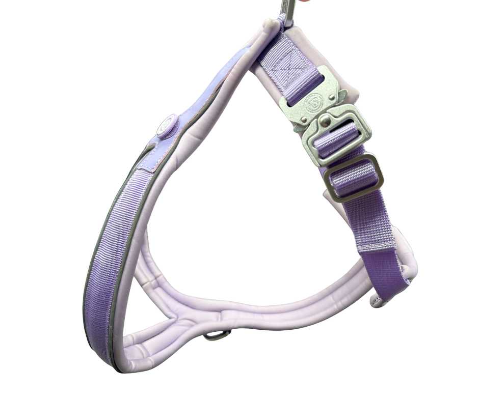 The 2.5cm BTactical™ Slip on Harness| Pastel Purple - The Bark Market