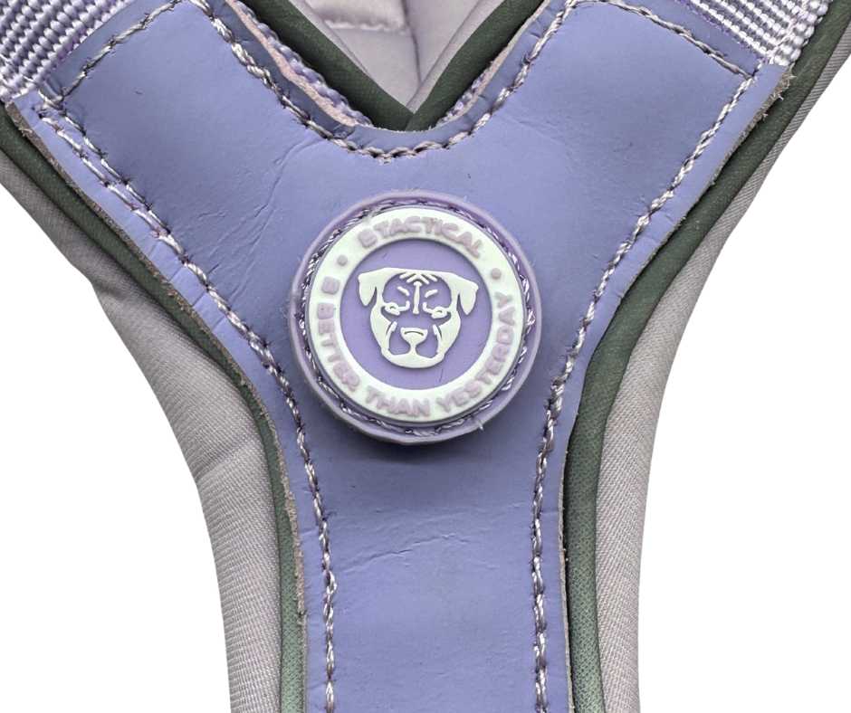 The 2.5cm BTactical™ Slip on Harness| Pastel Purple - The Bark Market