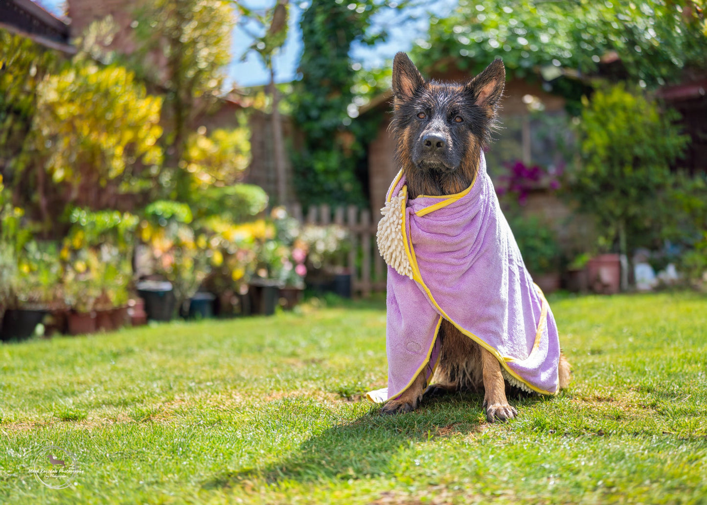Daisy Dreams - Dog Towel + Carry Bag - The Bark Market