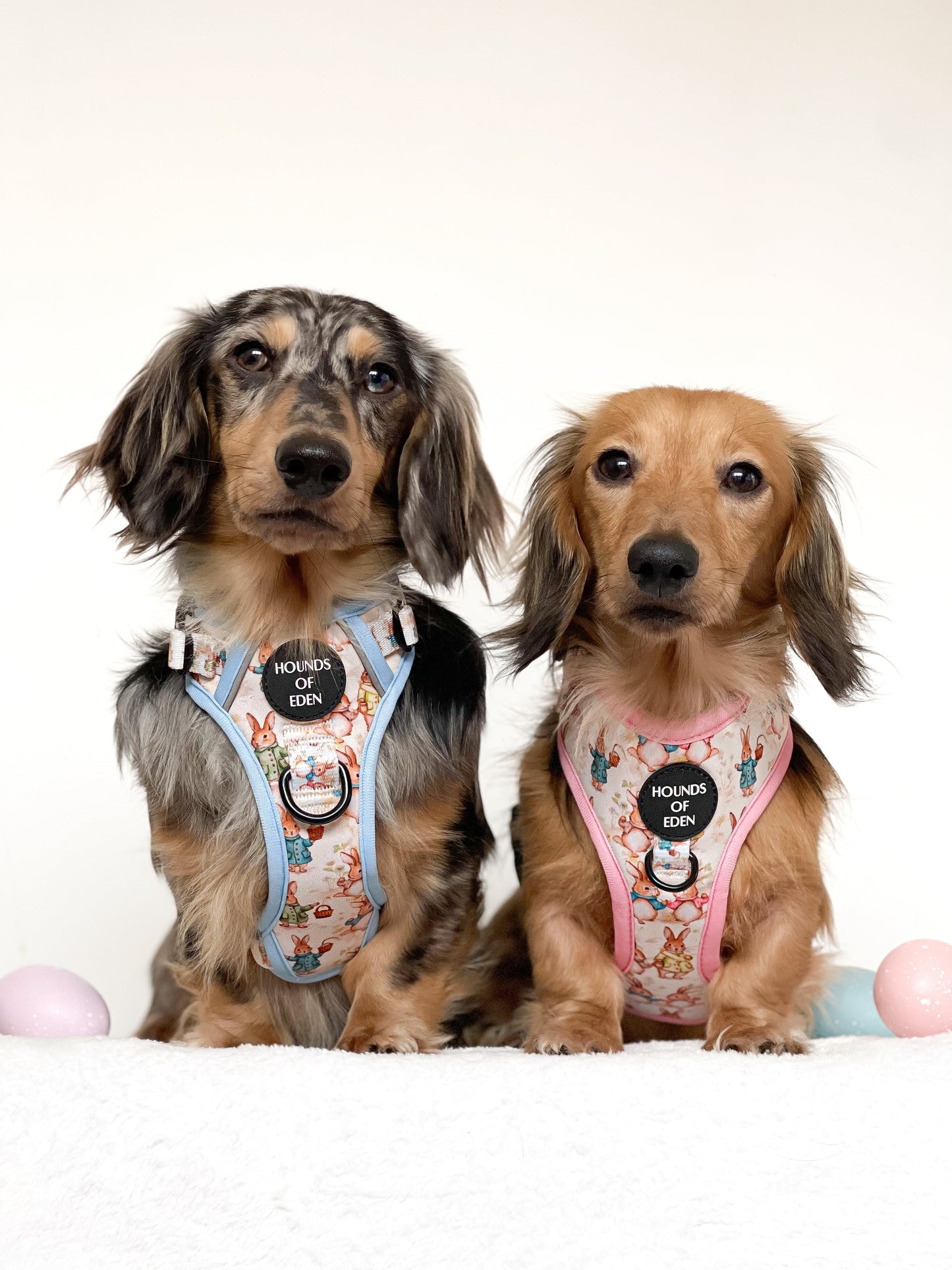 Bunny Tales - Blue, Dog Supaw Strong™ Lite Harness (XS-XL) - The Bark Market