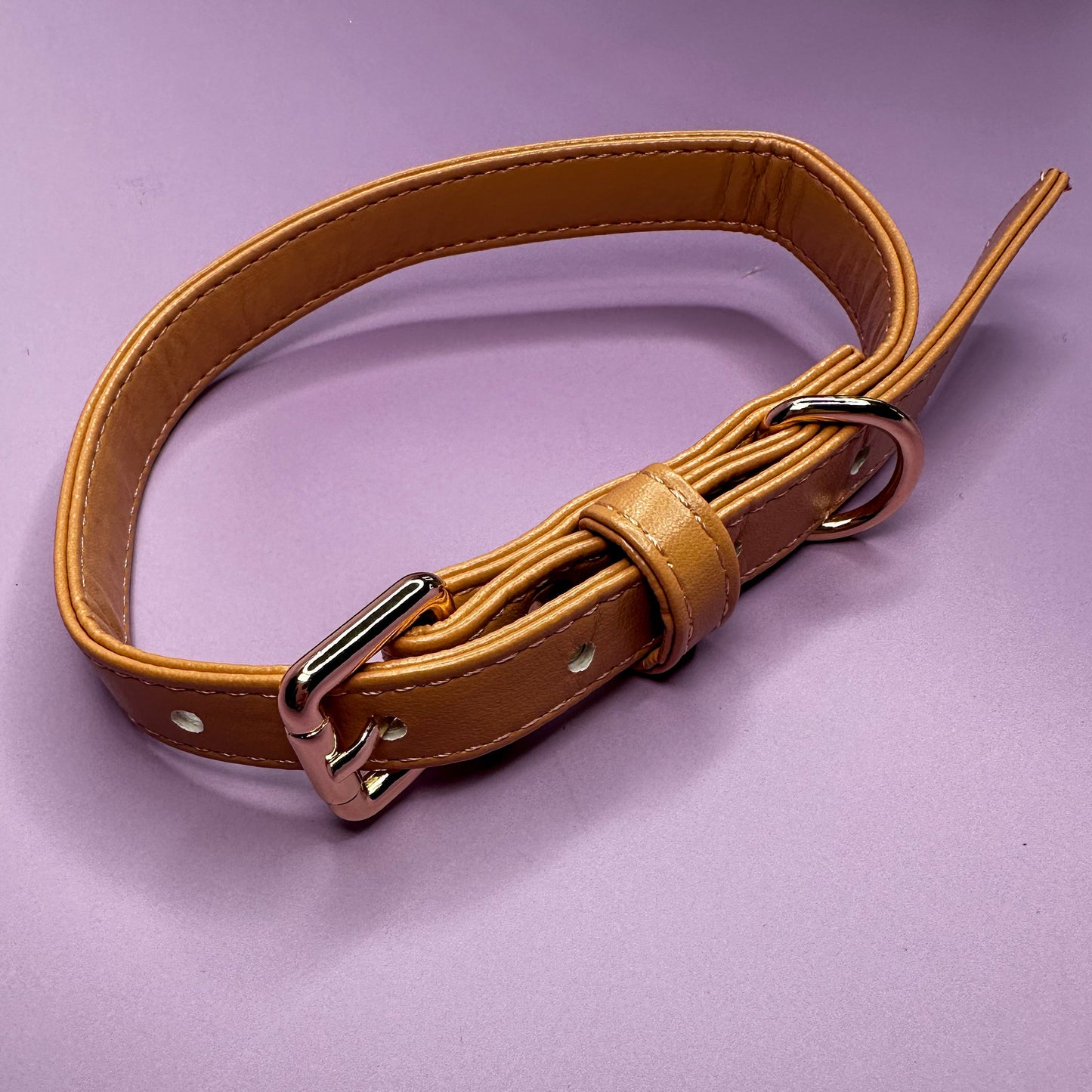 Alfresco Pup vegan leather dog collar - camel colour buckle dog collar - The Bark Market