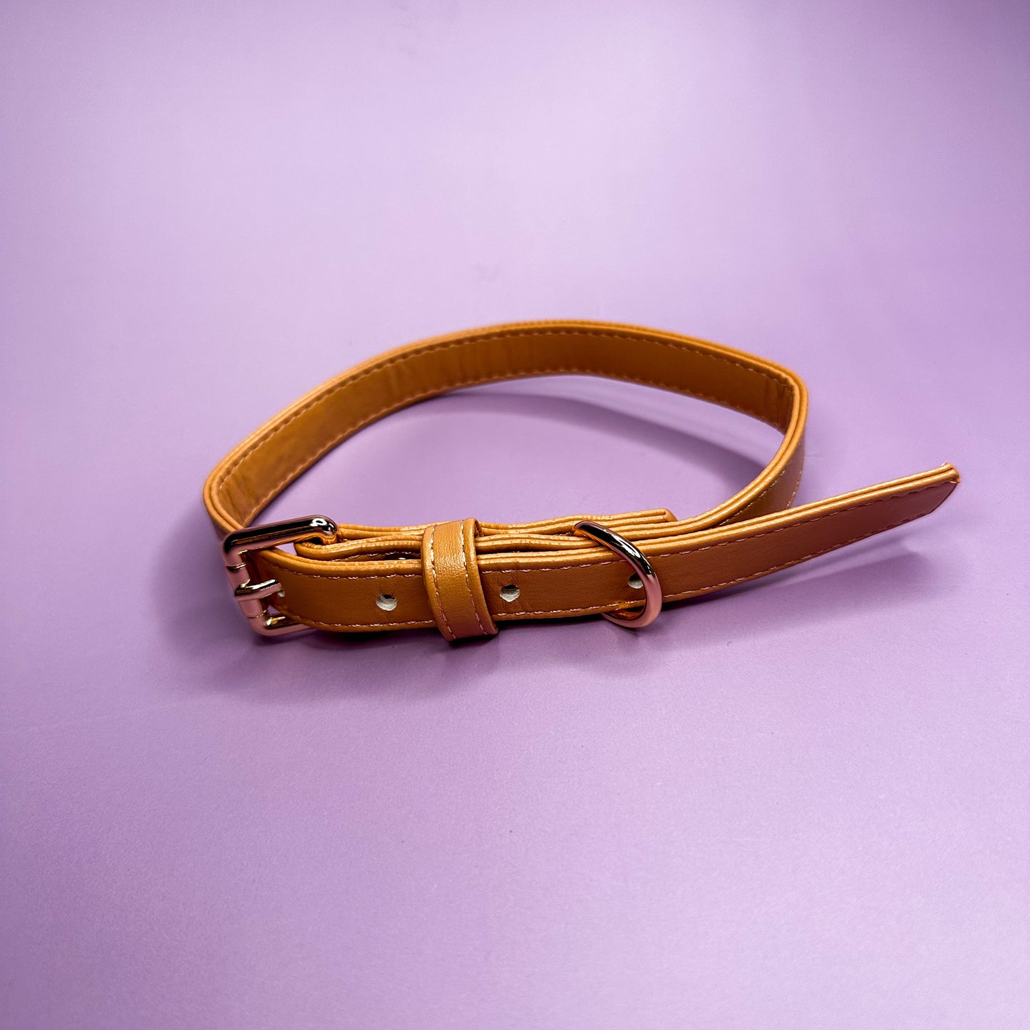 Alfresco Pup vegan leather dog collar - camel colour buckle dog collar - The Bark Market