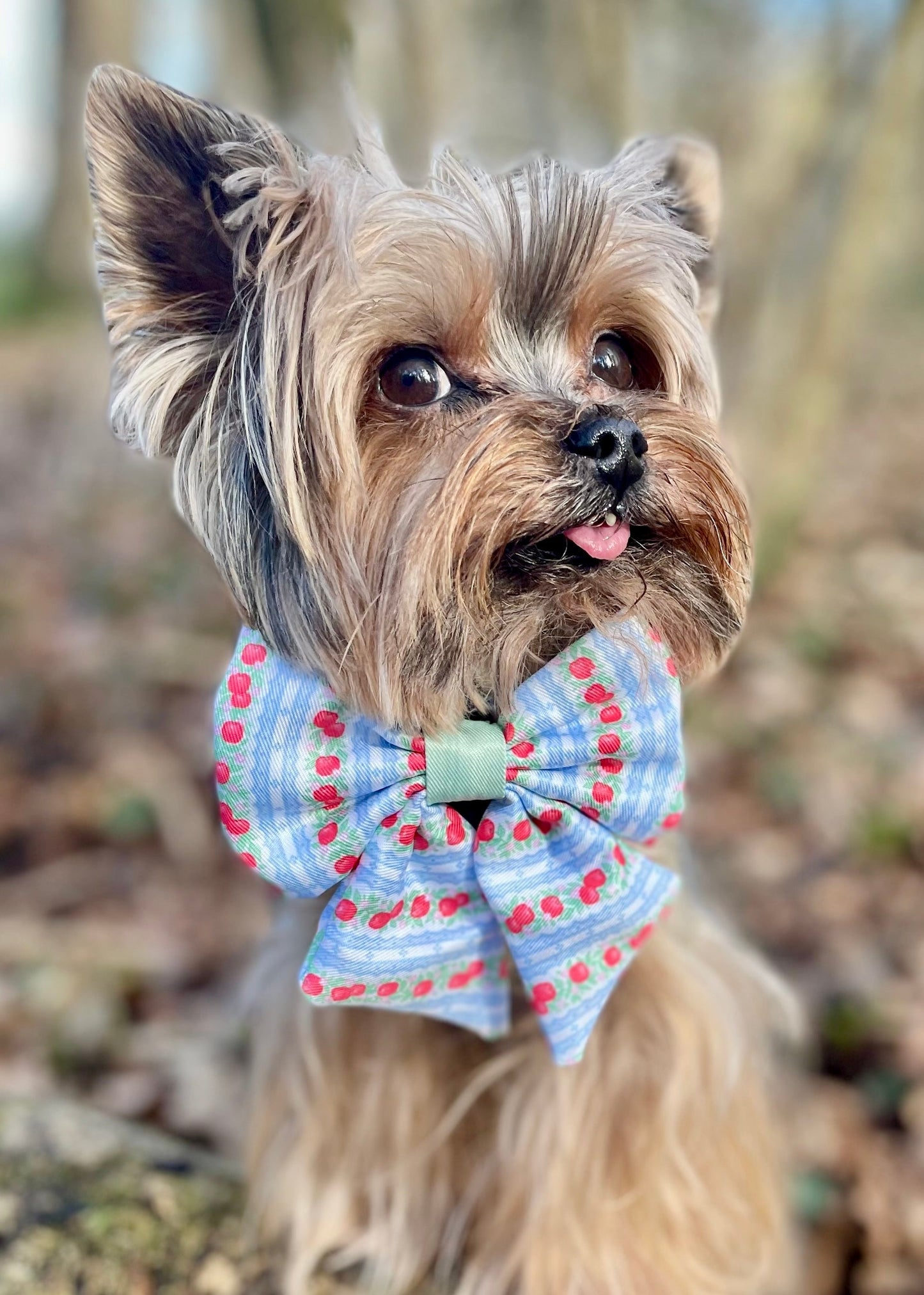 Eden's Orchard - Dog Sailor Bow Tie - The Bark Market