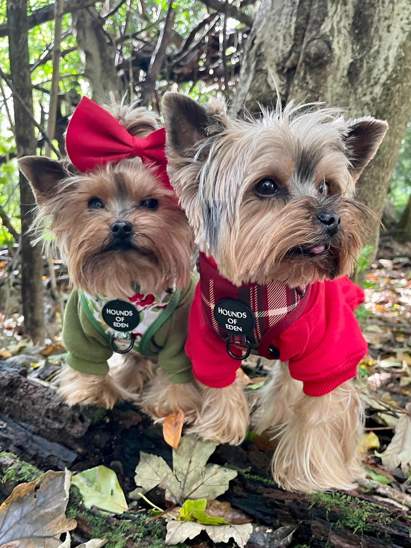Tartan MeĀ Up - Red & Cream Tartan Design Dog Harness - The Bark Market