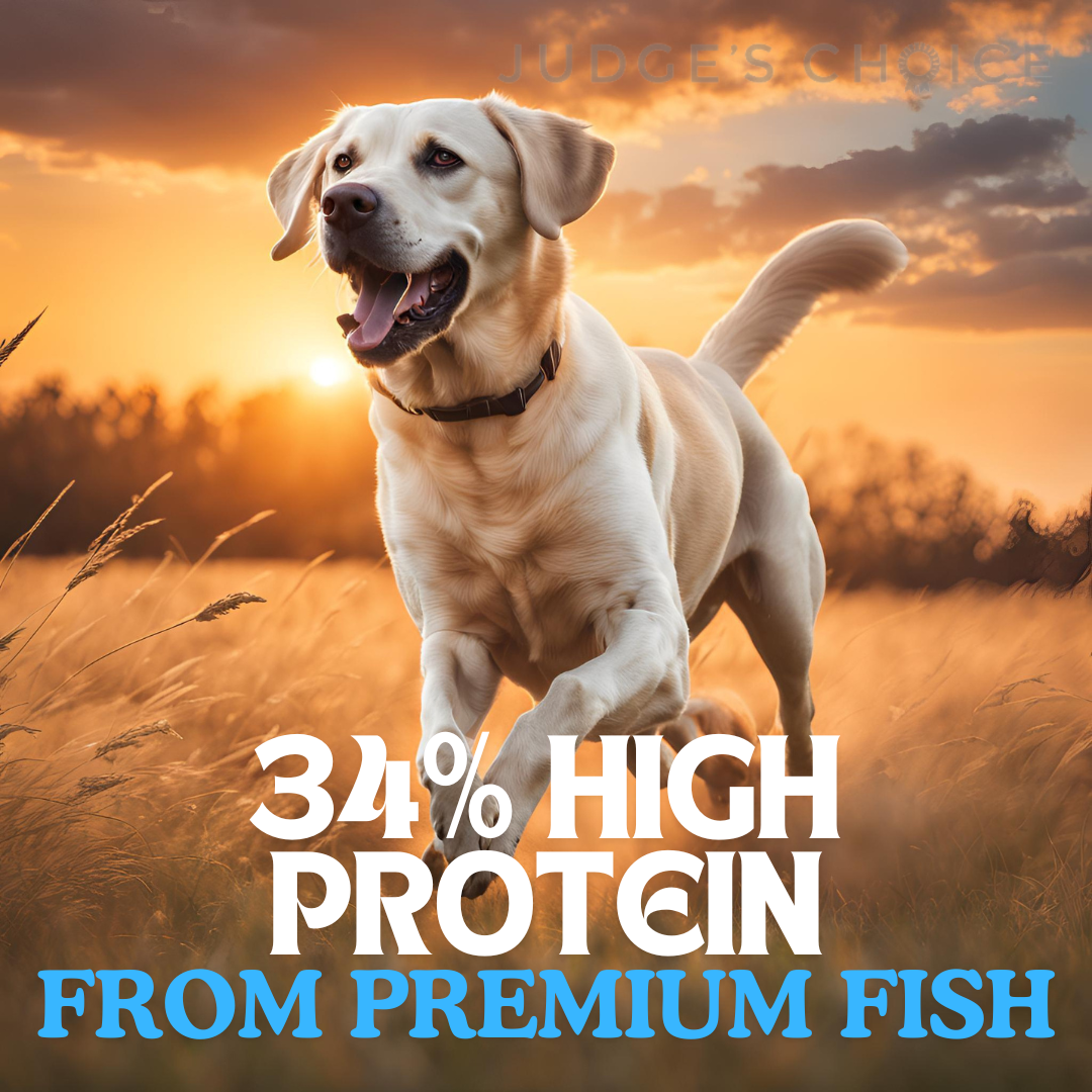 Country Pursuit Cold Pressed Ocean Fish & Sweet Potato - The Bark Market