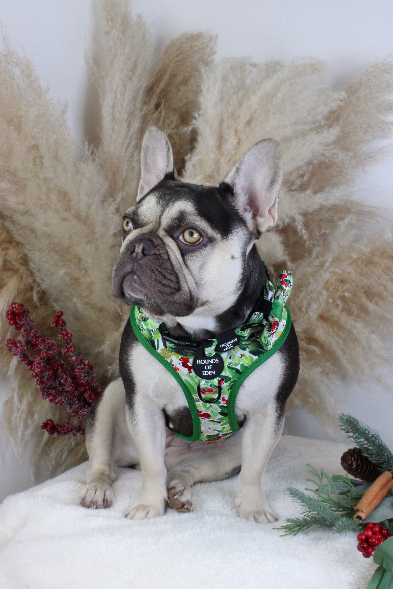 Winter Spruce & Berries Design Dog Harness - The Bark Market