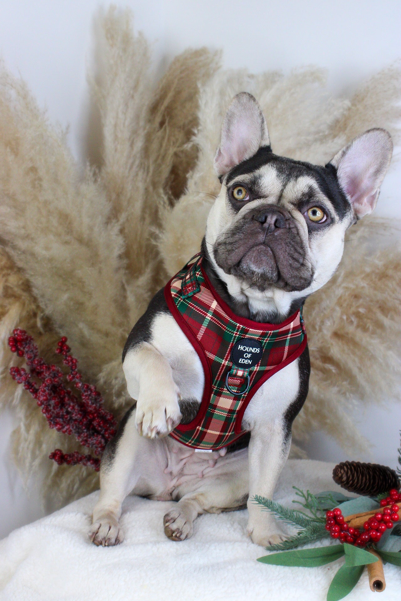 Tartan MeĀ Up - Red & Cream Tartan Design Dog Harness - The Bark Market
