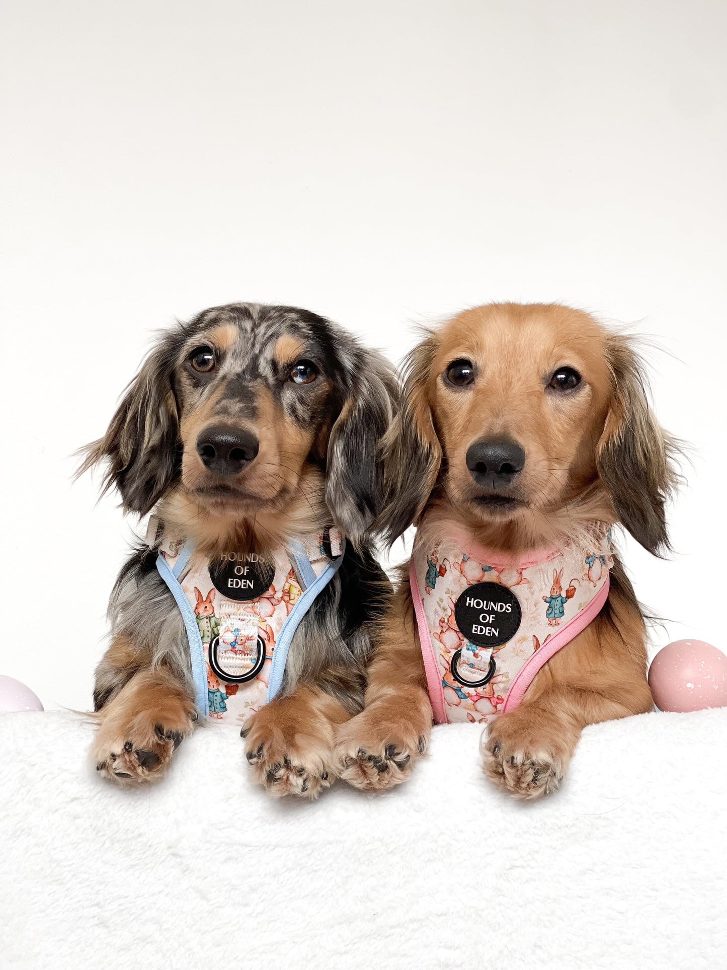 Bunny Tales - Blue, Dog Supaw Strong™ Lite Harness (XS-XL) - The Bark Market
