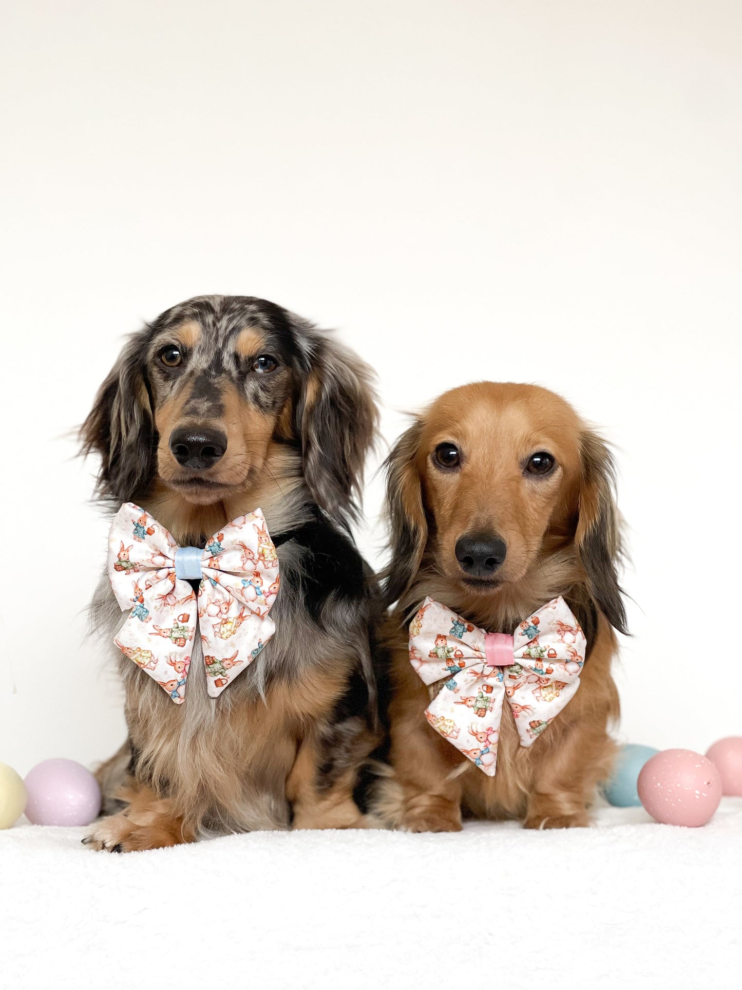 Bunny Tales - Blue, Sailor Bow Tie - The Bark Market