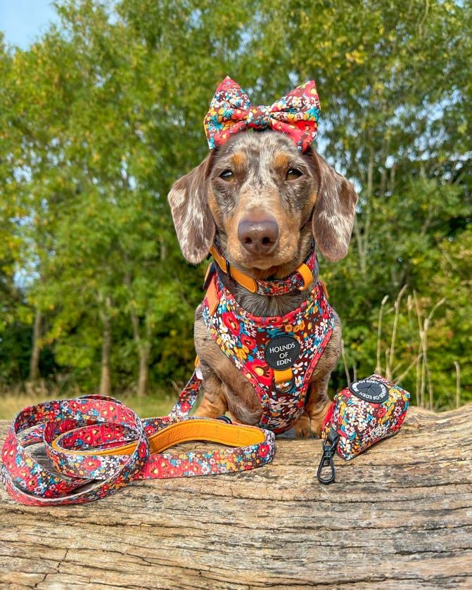 Retro Bloom Leather Dog Collar - The Bark Market