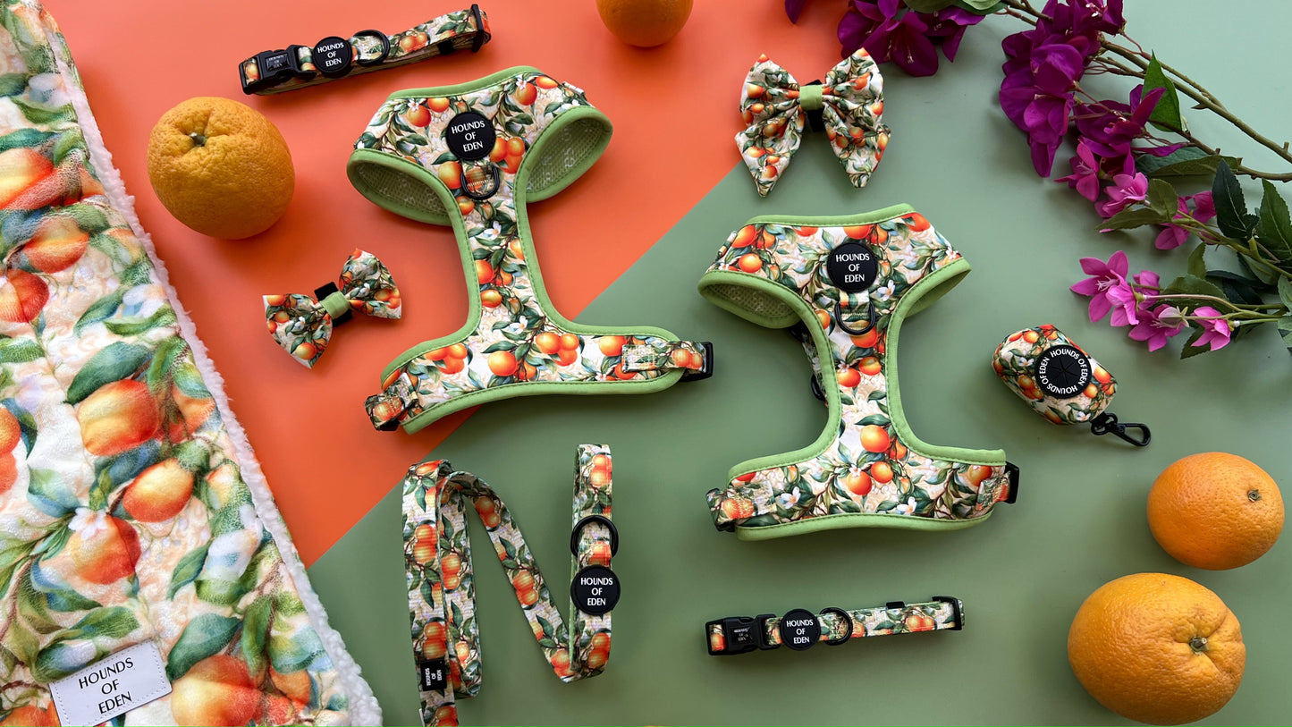 Simply the Zest - Oranges Dog Harness - The Bark Market