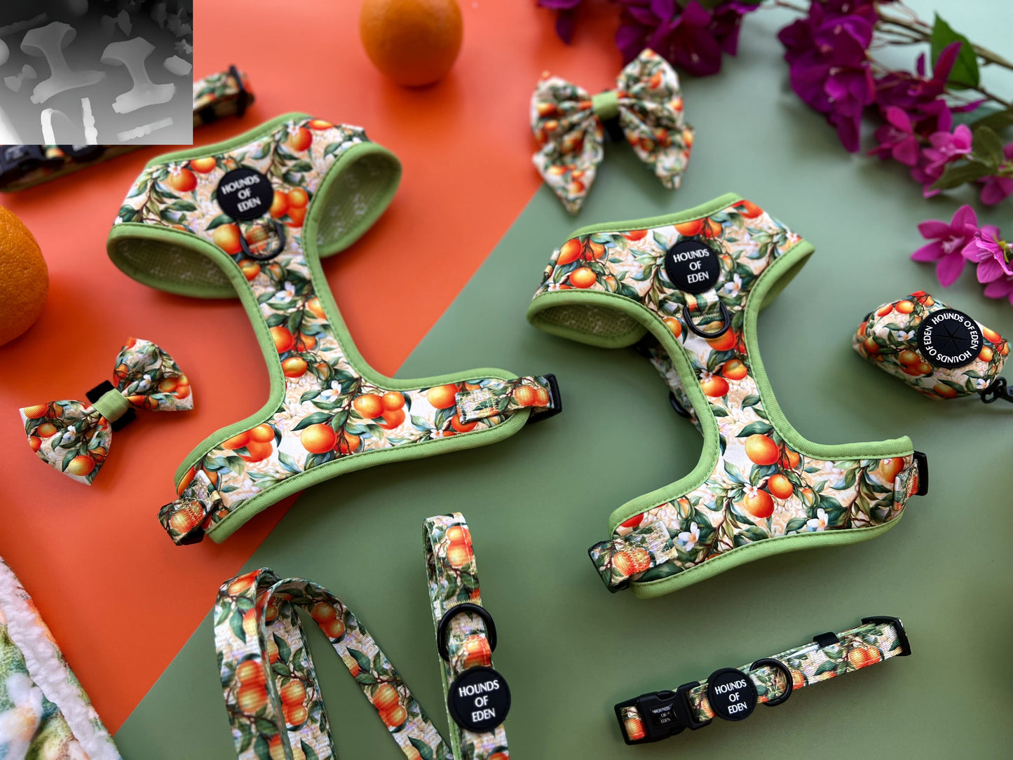Simply the Zest - Oranges Dog Collar - The Bark Market