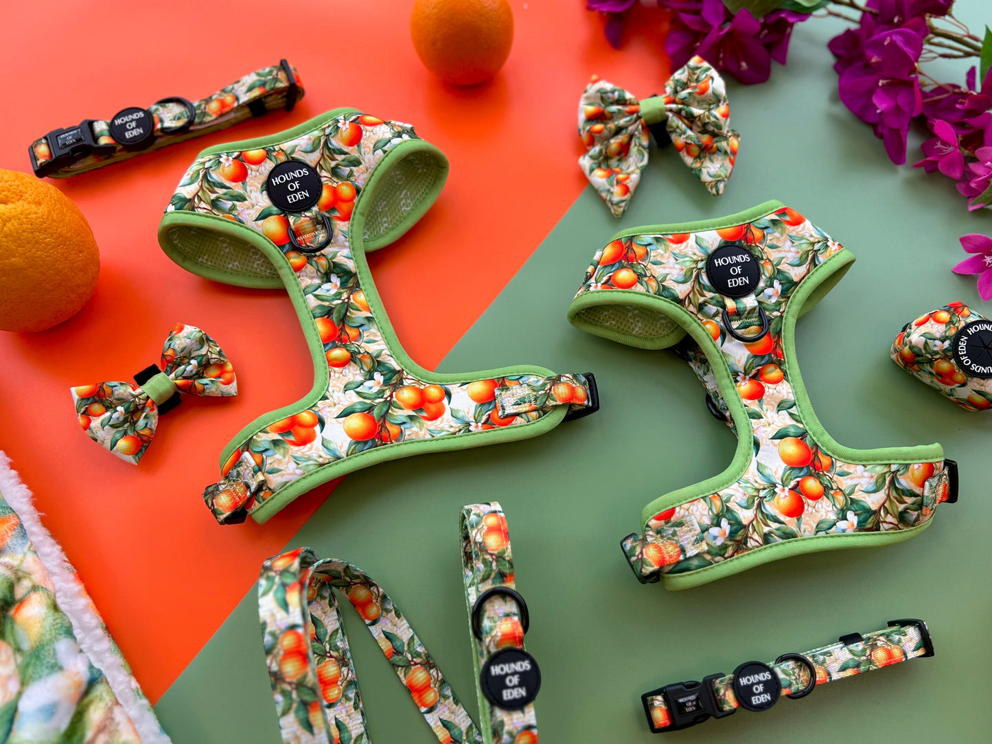 Simply the Zest - Oranges Dog Harness - The Bark Market