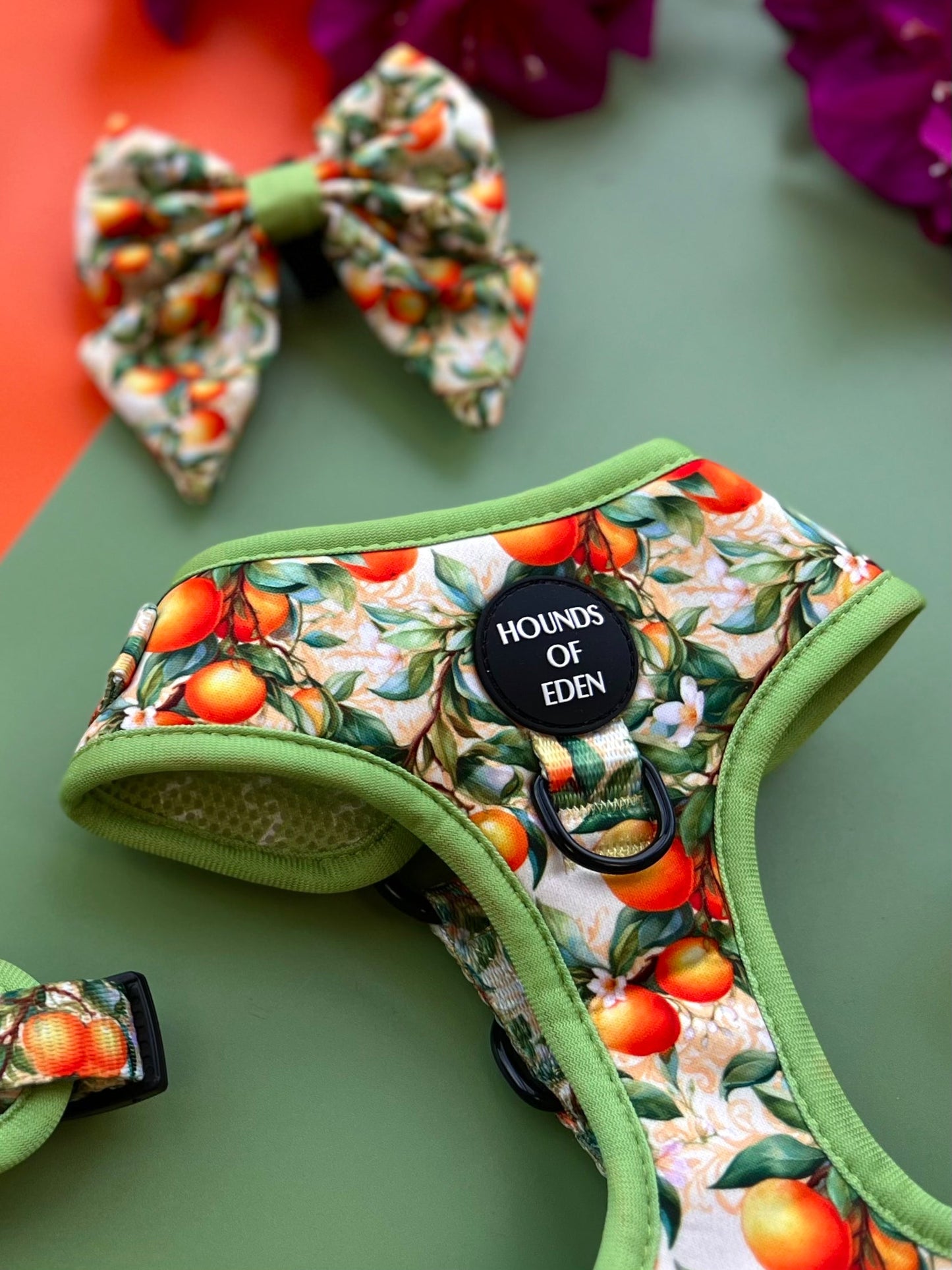 Simply the Zest - Oranges Dog Harness - The Bark Market