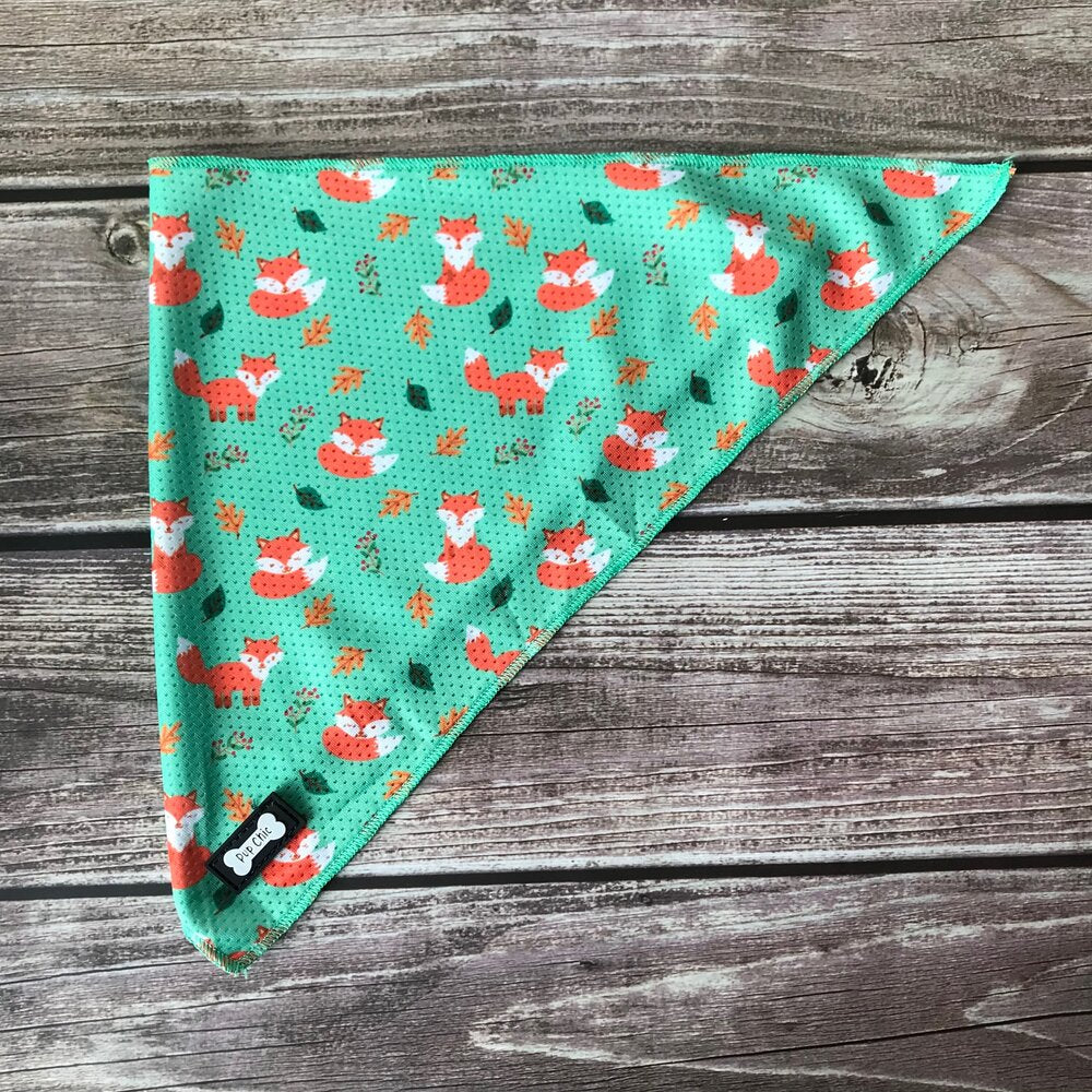 Inquisitive Fox Cooling Bandana - The Bark Market