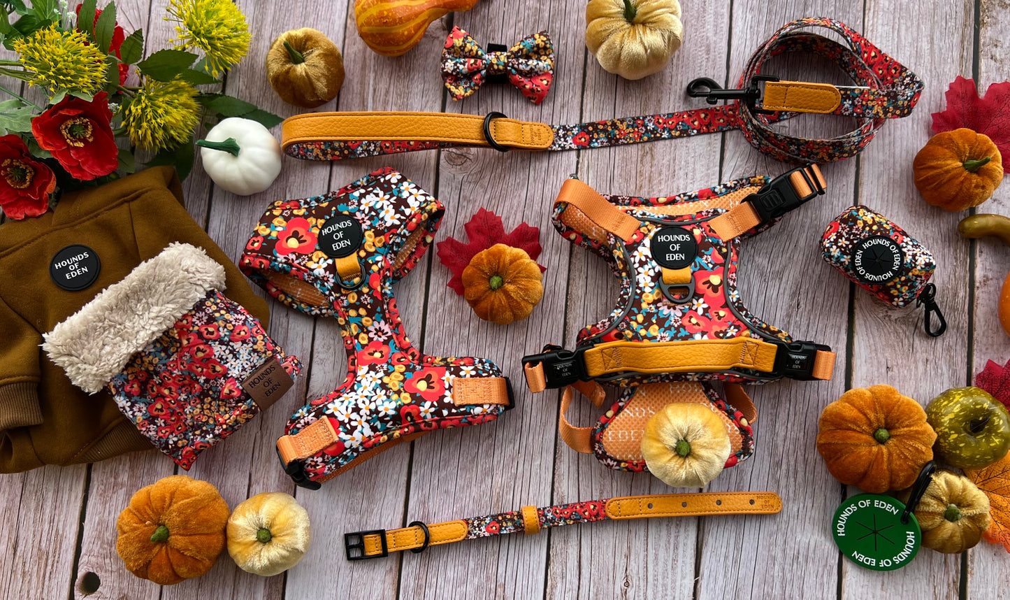 Retro Bloom Dog Harness (XXS & XS) - The Bark Market