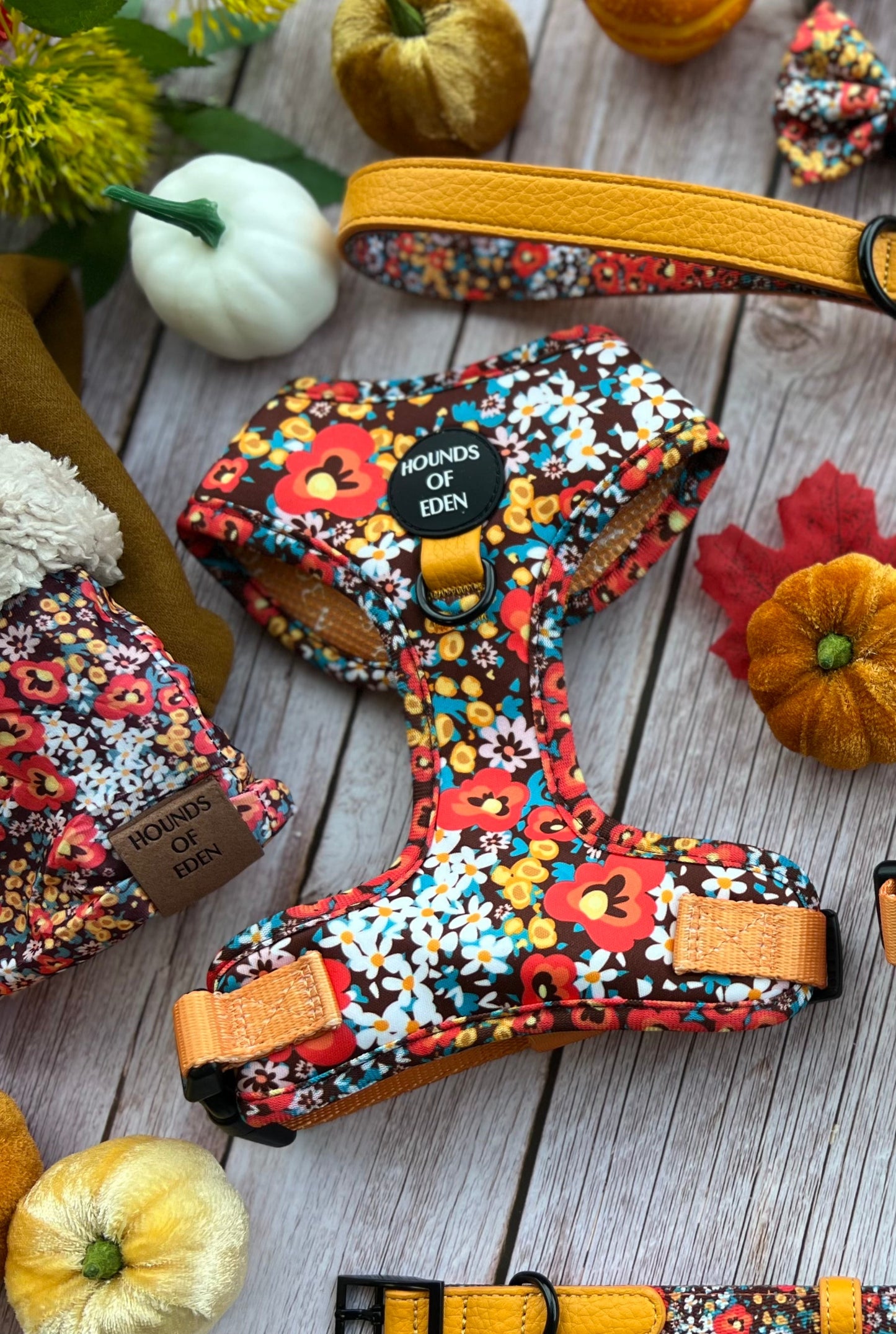Retro Bloom Dog Harness (XXS & XS) - The Bark Market