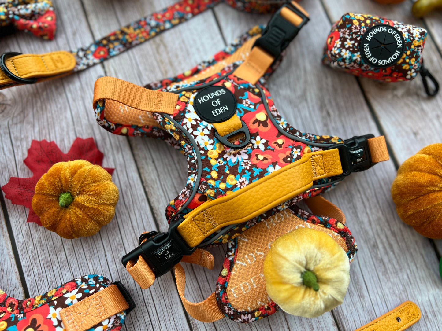 Retro Bloom Dog Supaw Strong Lite™ Harness (XS-XL) - The Bark Market