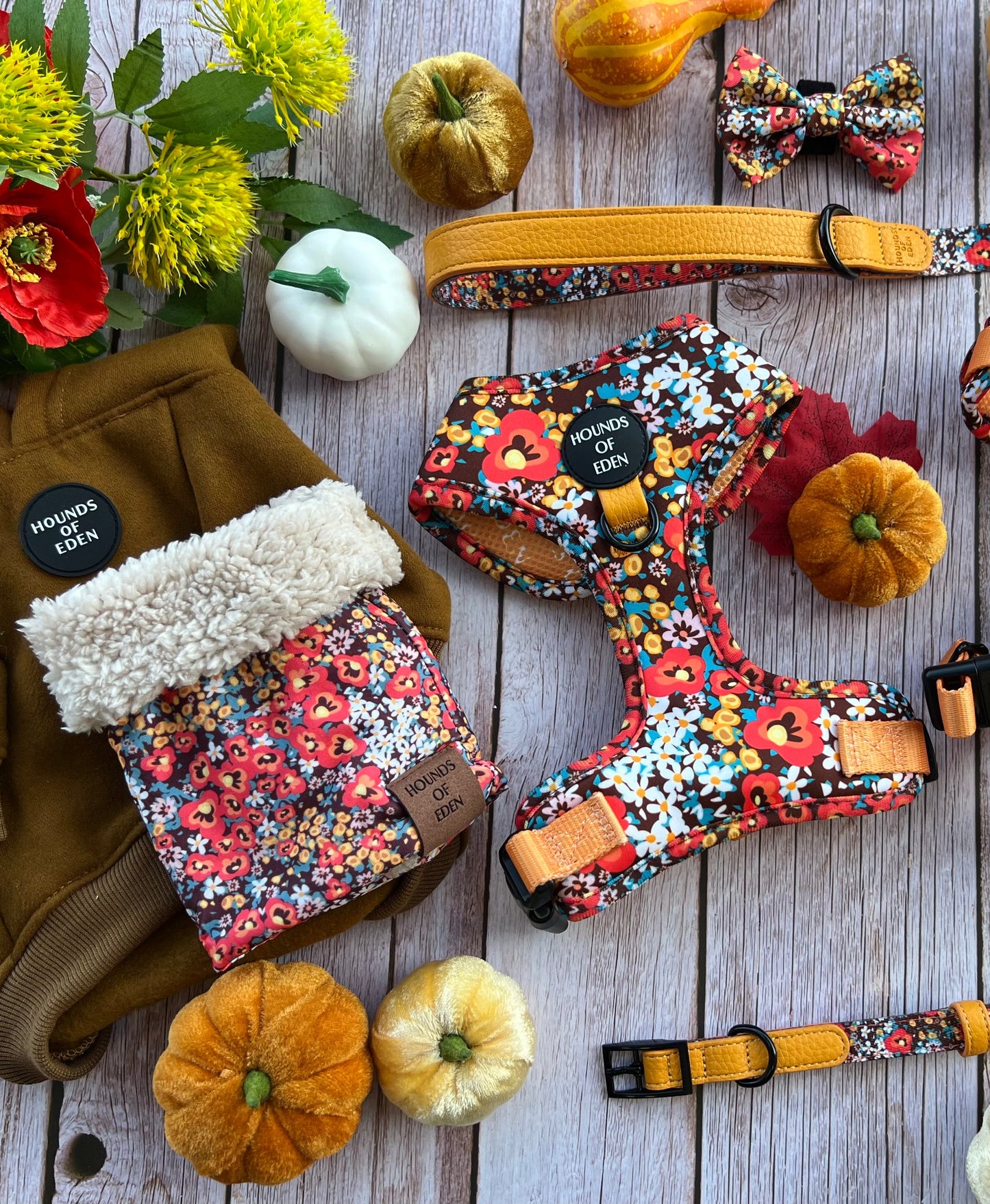 Retro Bloom Dog Harness (XXS & XS) - The Bark Market