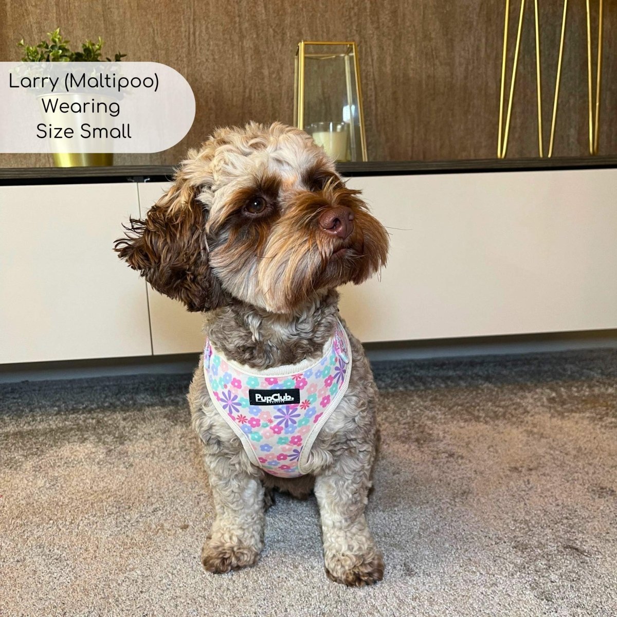 Adjustable Harness - Pretty Petals - The Bark Market