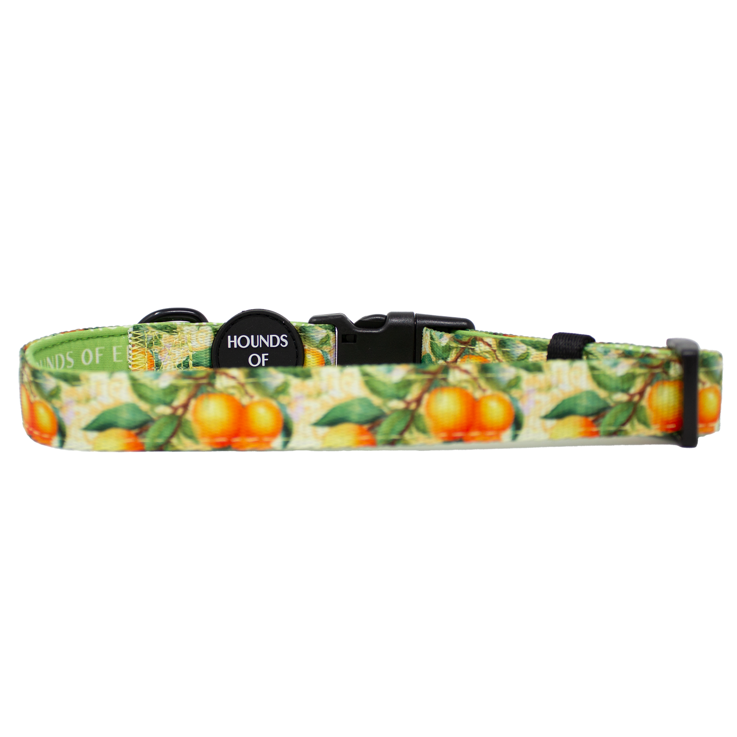 Simply the Zest - Oranges Dog Collar - The Bark Market