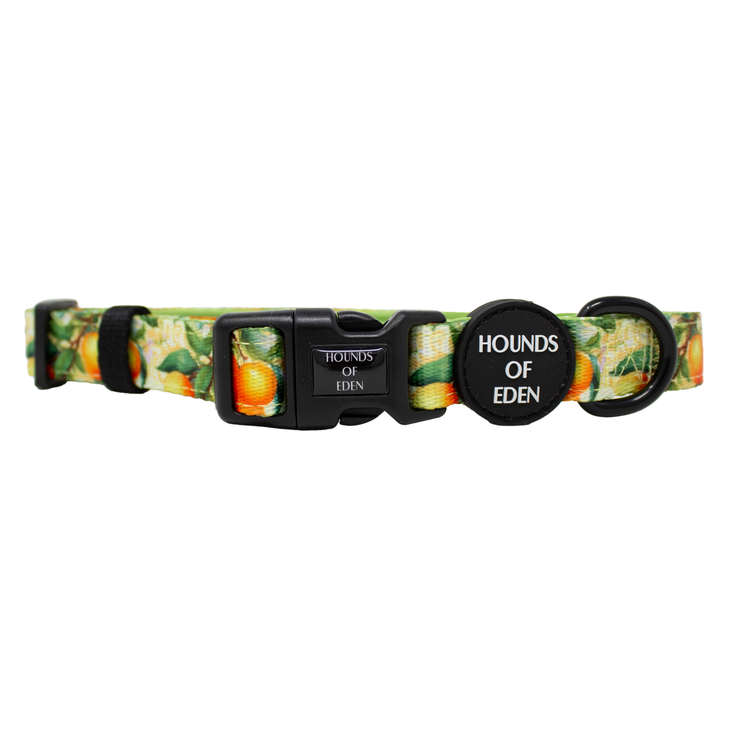 Simply the Zest - Oranges Dog Collar - The Bark Market