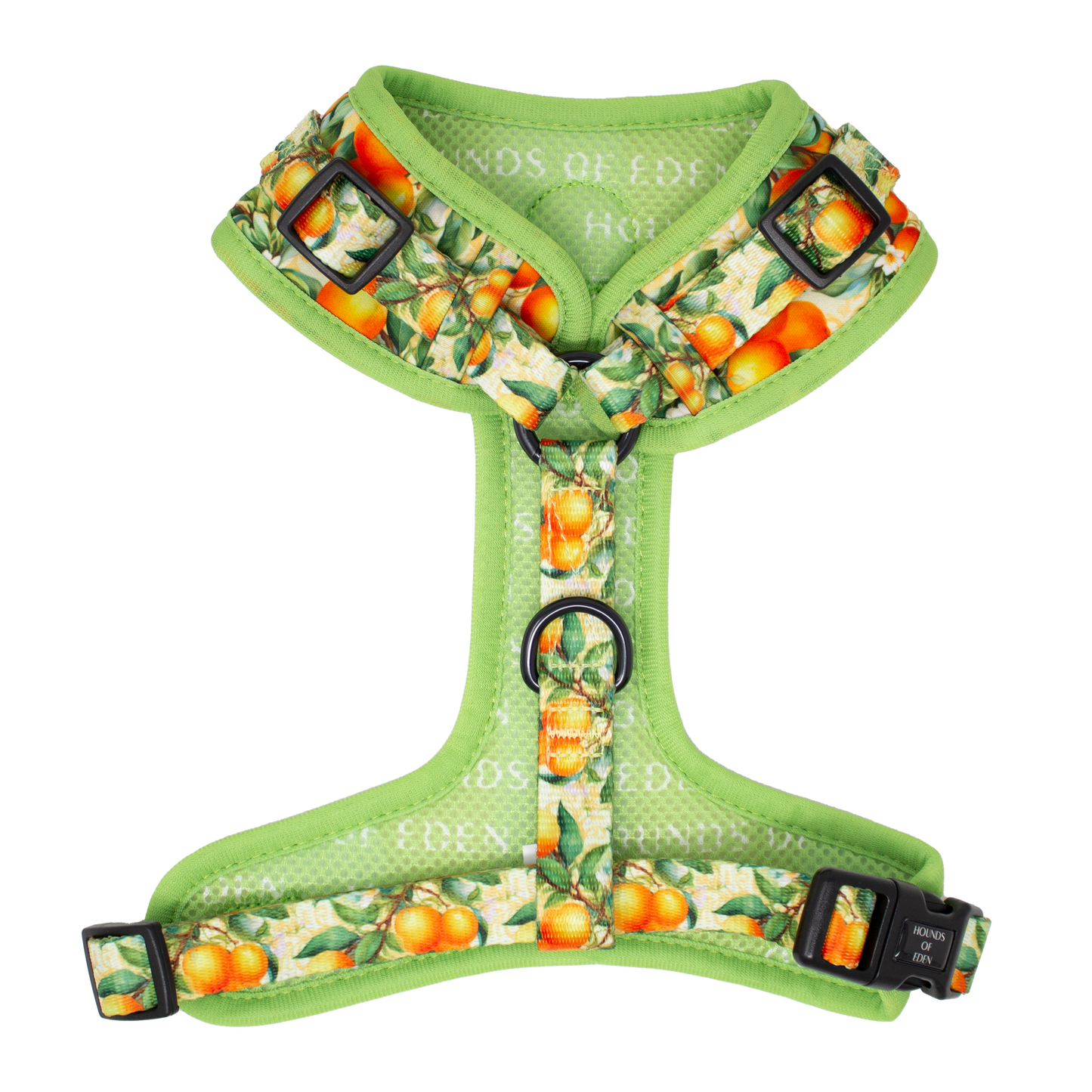 Simply the Zest - Oranges Dog Harness - The Bark Market