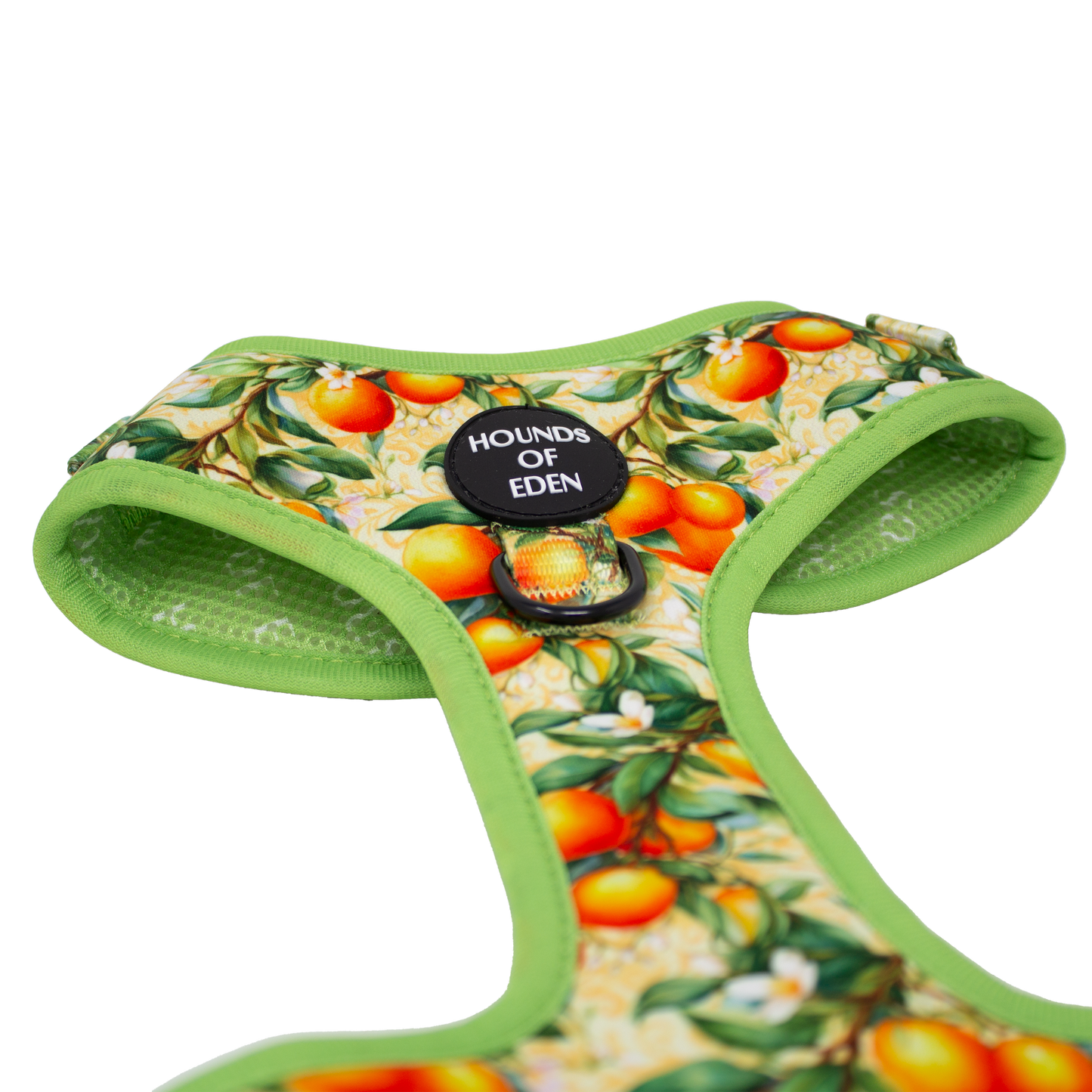Simply the Zest - Oranges Dog Collar - The Bark Market