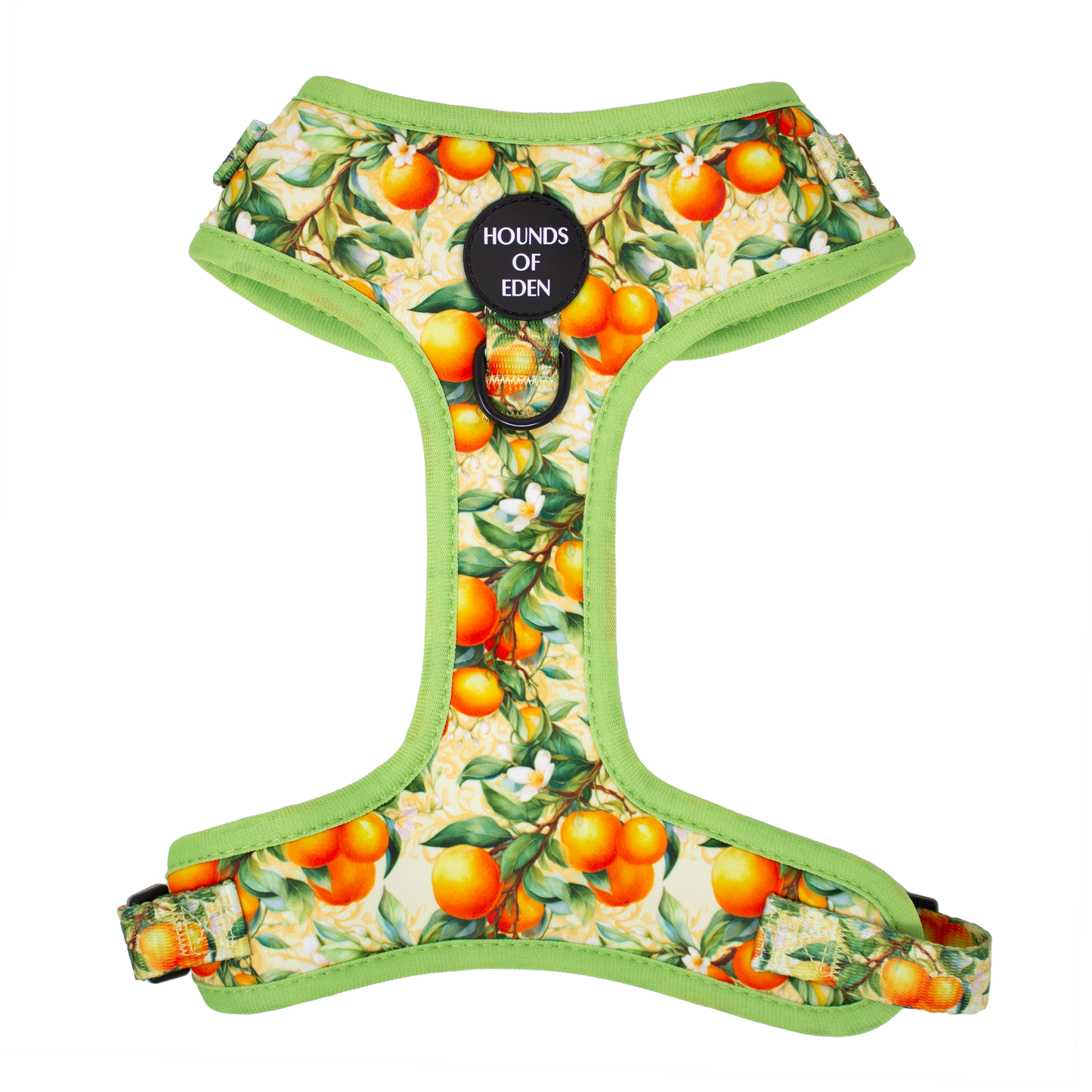Simply the Zest - Oranges Dog Harness - The Bark Market