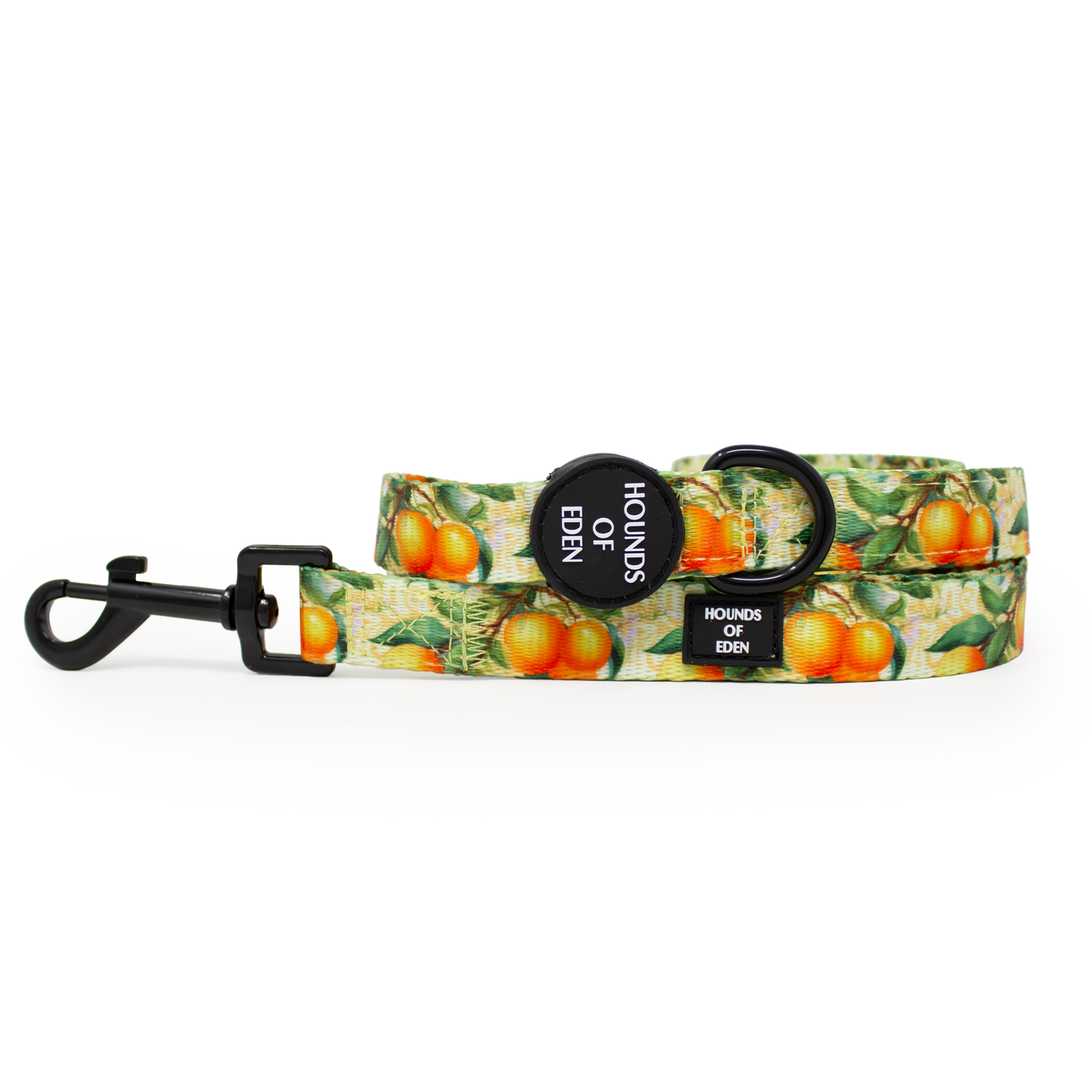 Simply the Zest - Oranges Dog Collar - The Bark Market