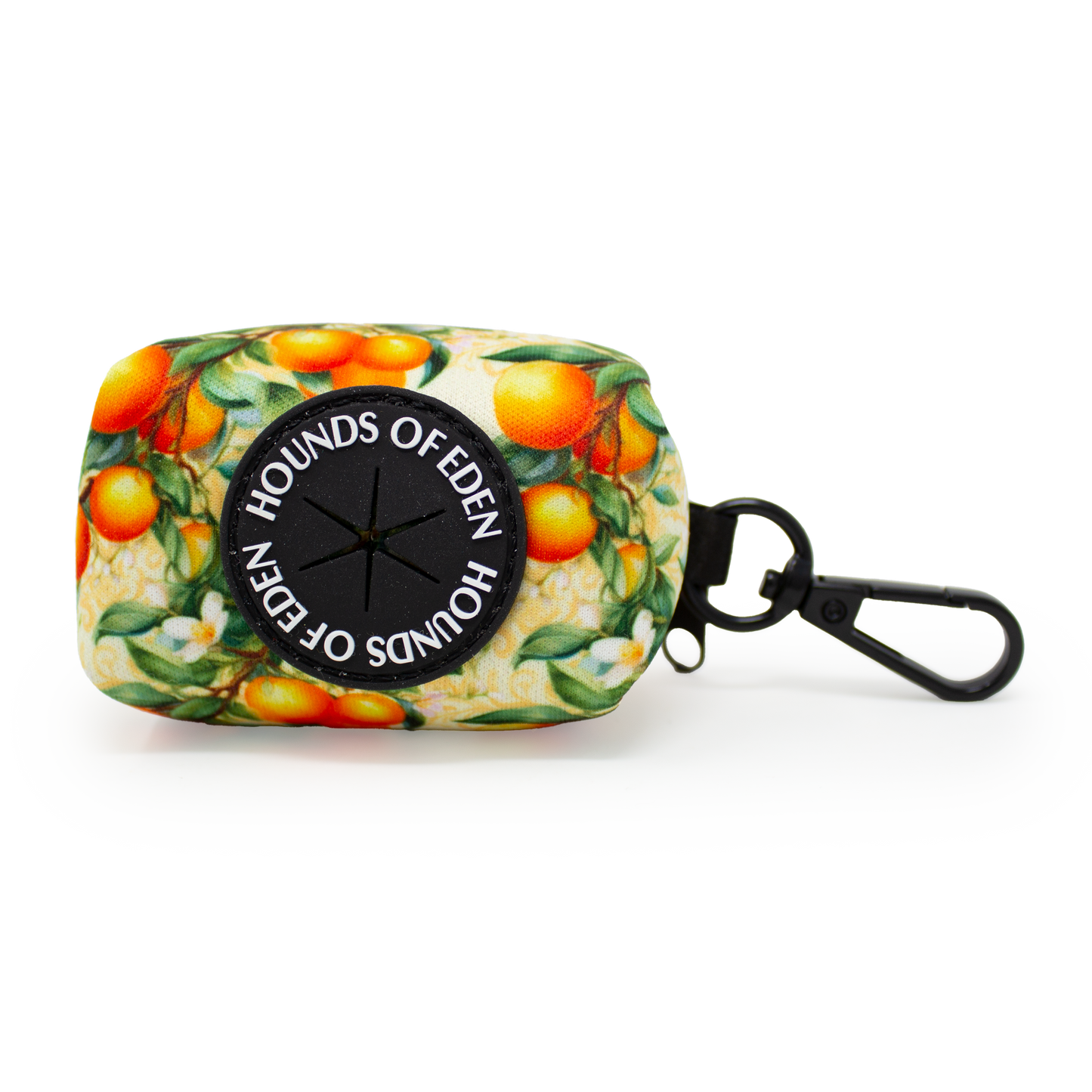 Simply the Zest - Oranges Dog Collar - The Bark Market