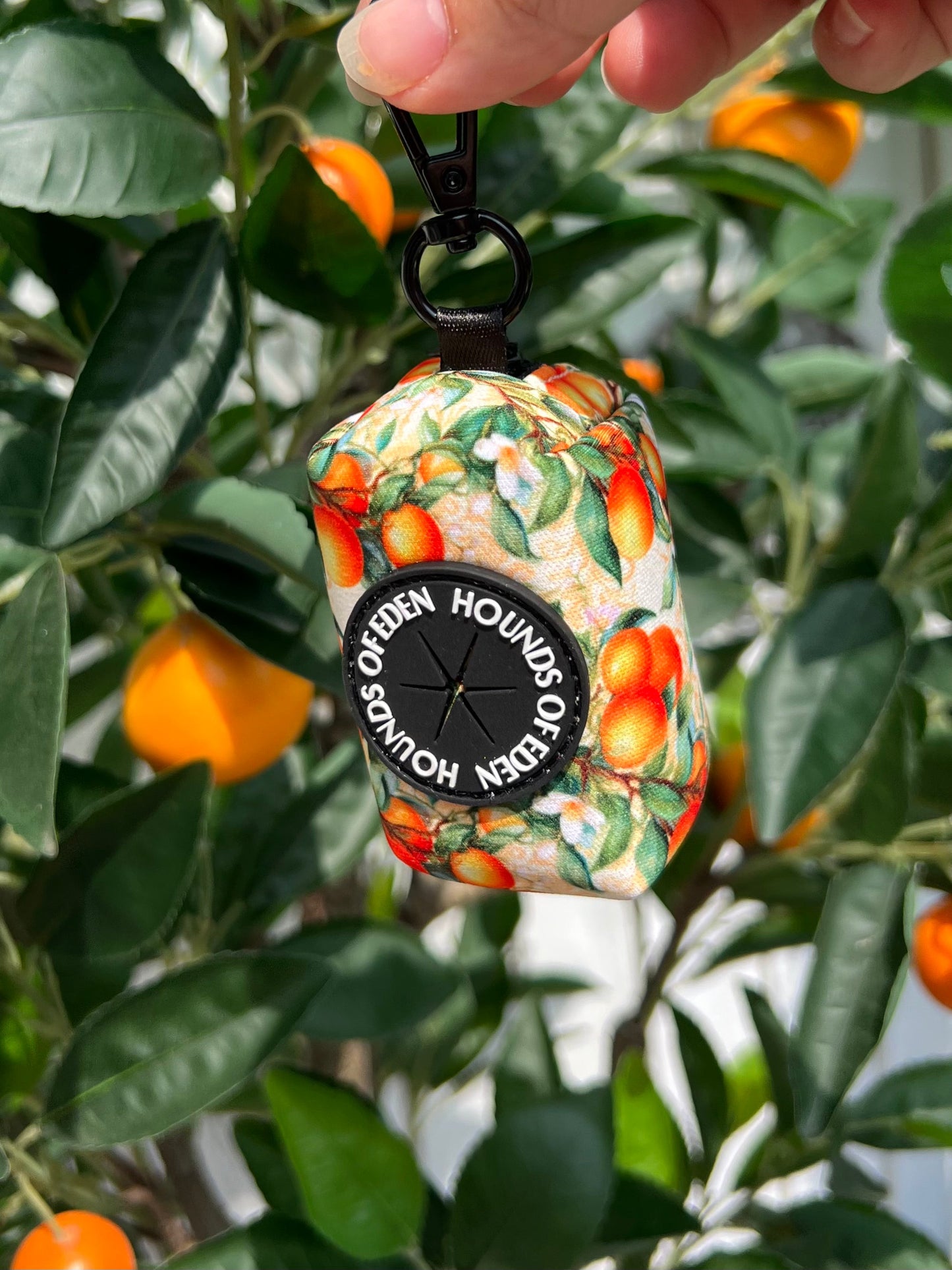 Simply the Zest - Oranges Dog Harness - The Bark Market